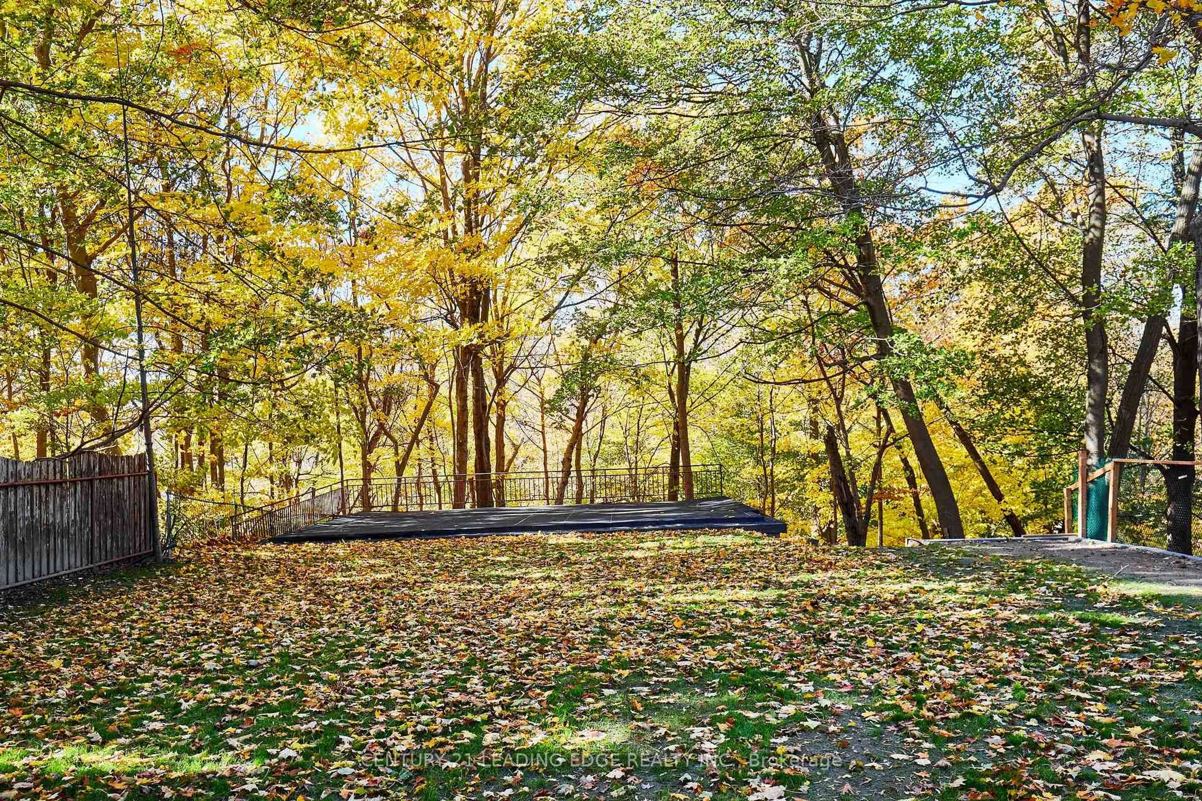 Patio, forest/trees view for 24 Larwood Blvd, Toronto Ontario M1M 2M5