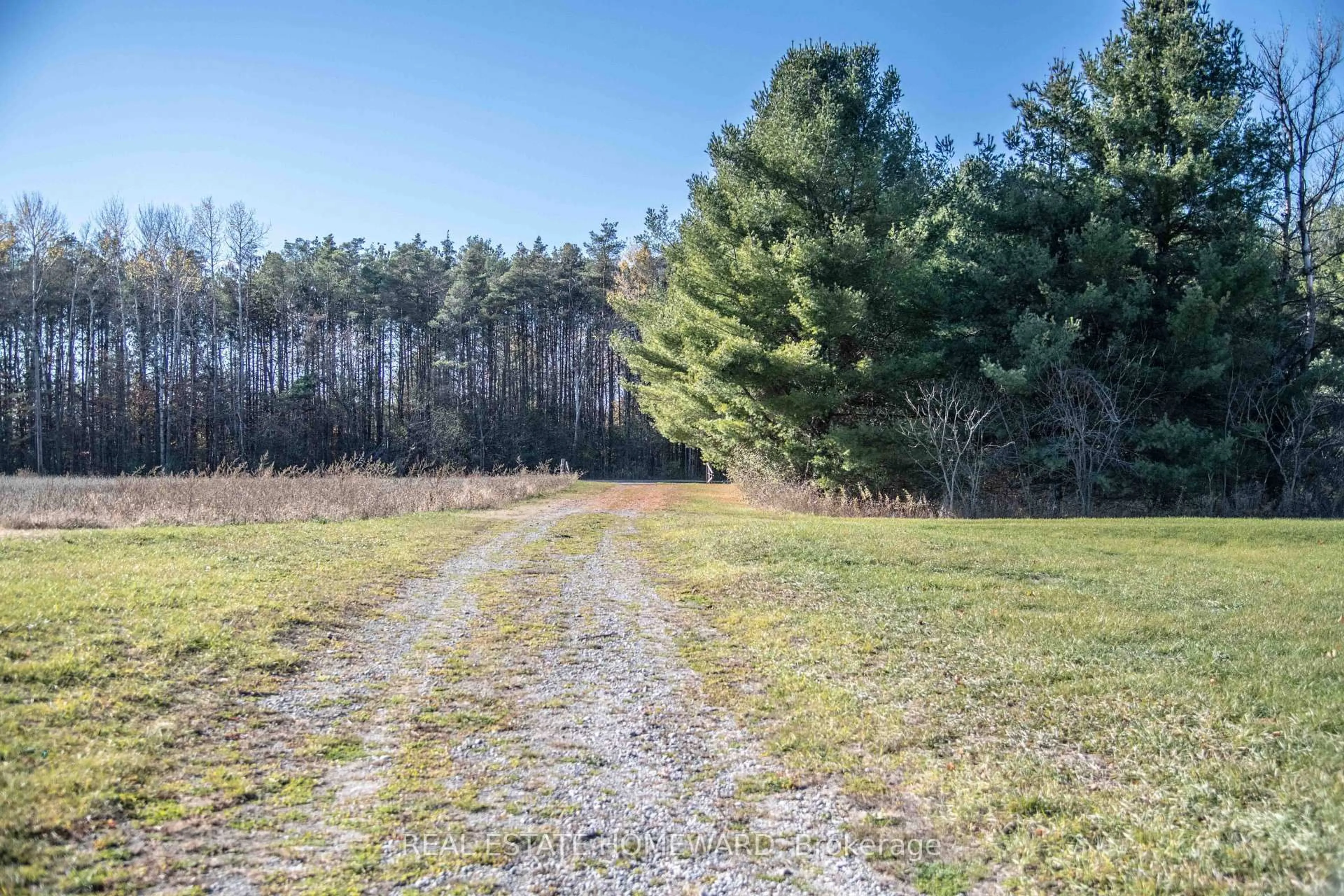 A pic from outside/outdoor area/front of a property/back of a property/a pic from drone, forest/trees view for 7257 Soper Rd, Clarington Ontario L0A 1E0
