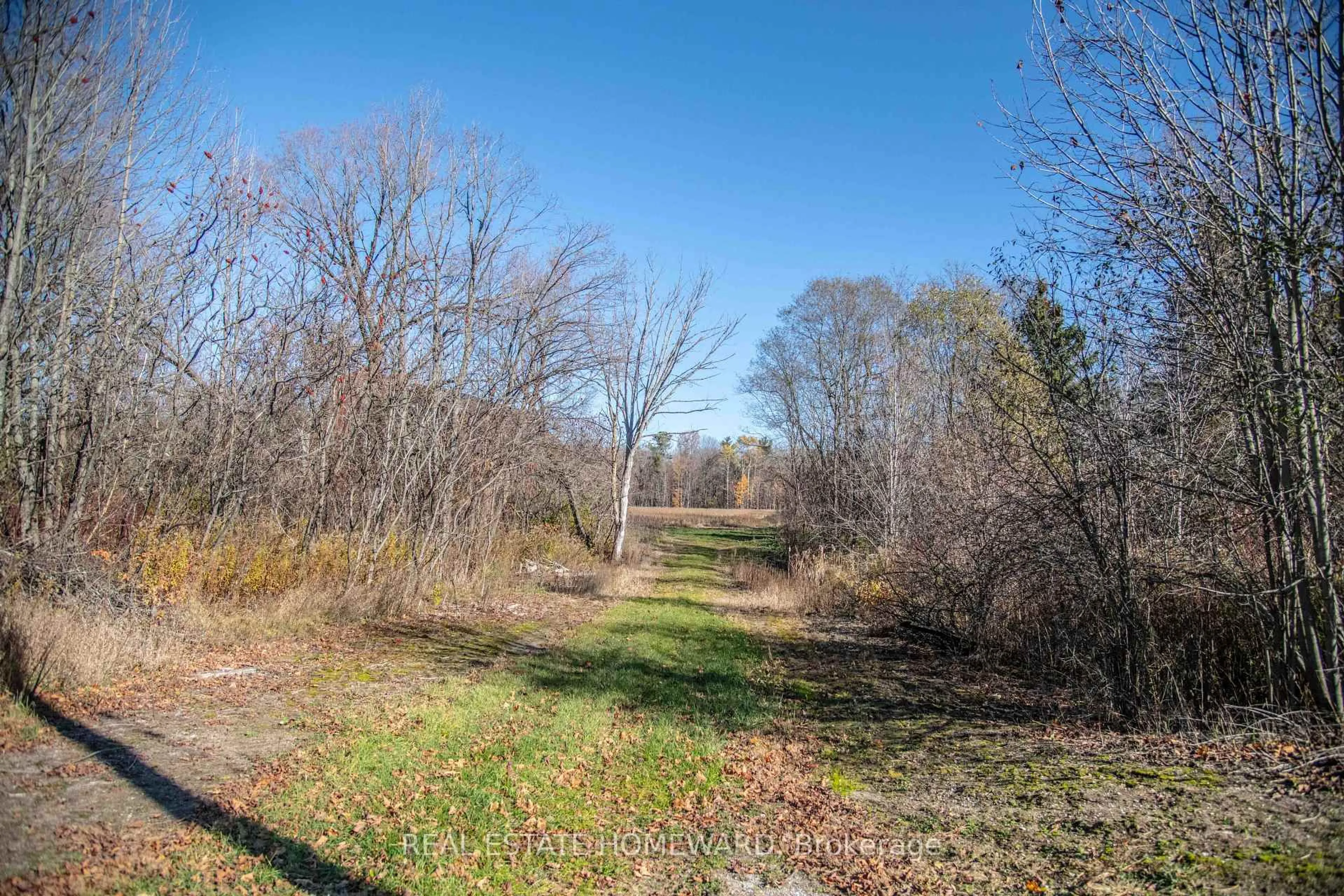 A pic from outside/outdoor area/front of a property/back of a property/a pic from drone, forest/trees view for 7257 Soper Rd, Clarington Ontario L0A 1E0