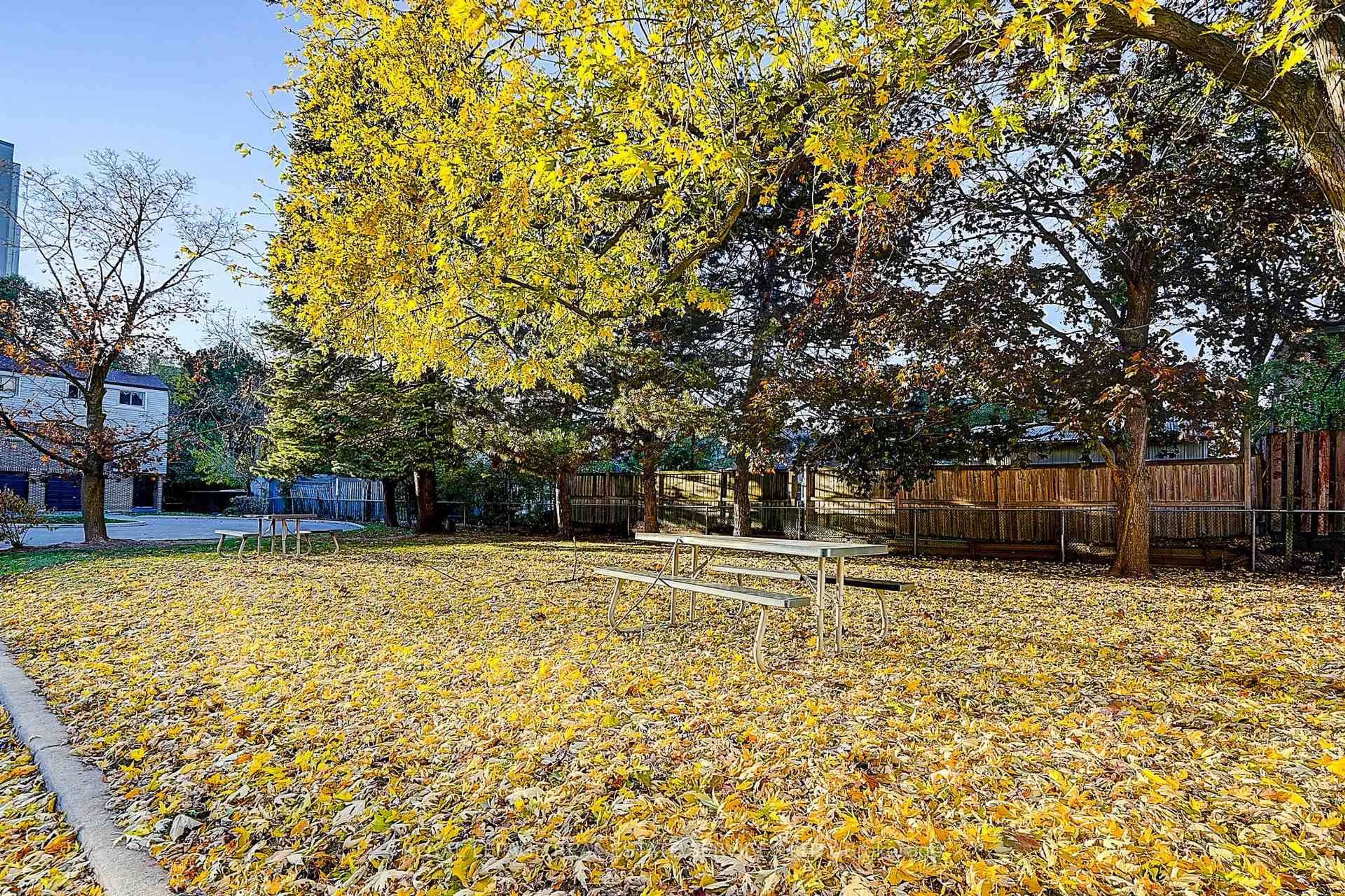 Patio, forest/trees view for 2020 Pharmacy Ave #23, Toronto Ontario M1T 1H8