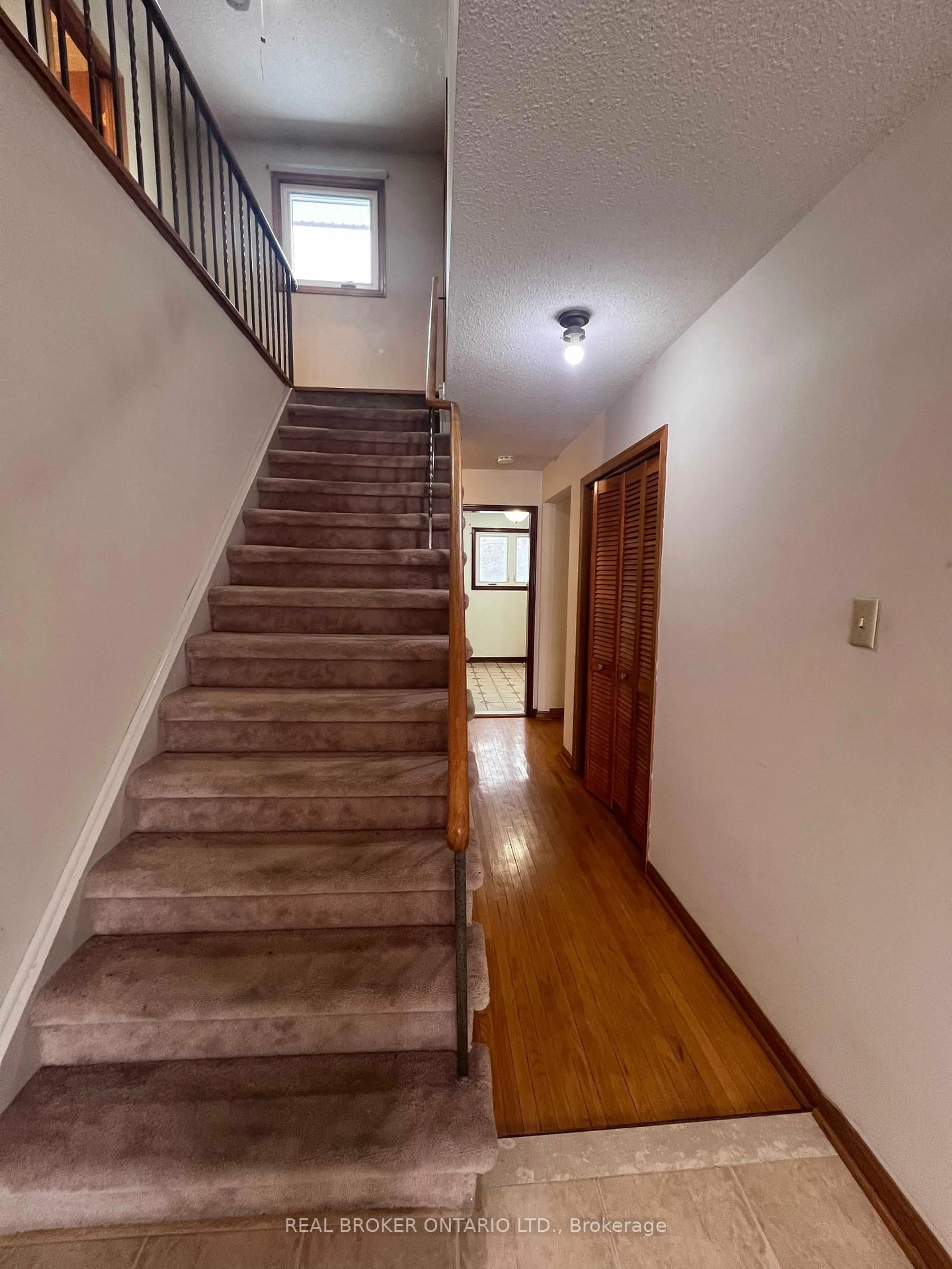 Unknown for 41 Cleethorpes Blvd, Toronto Ontario M1S 2S7