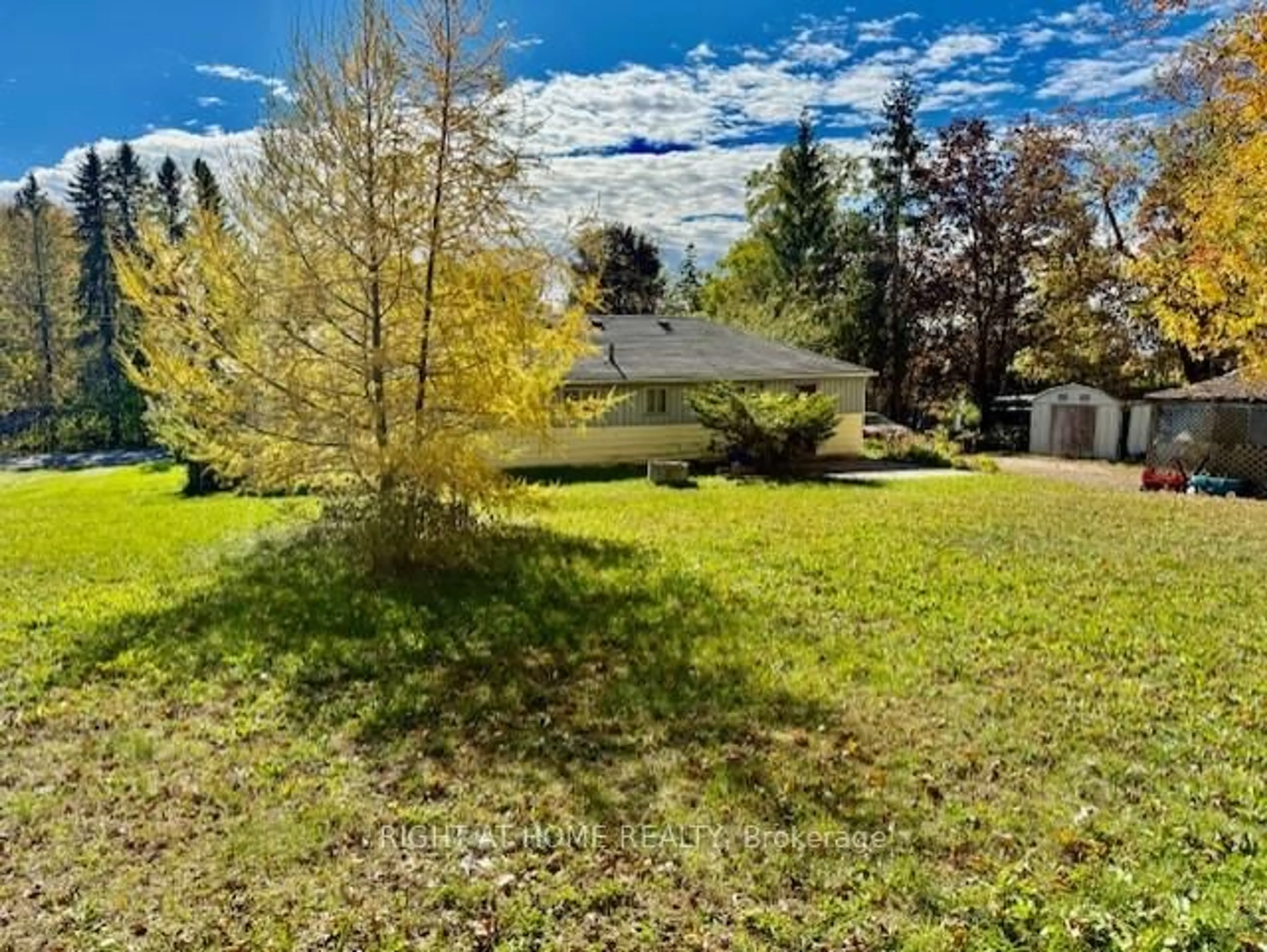 A pic from outside/outdoor area/front of a property/back of a property/a pic from drone, forest/trees view for 118 Percy Cres, Scugog Ontario L9L 1B4
