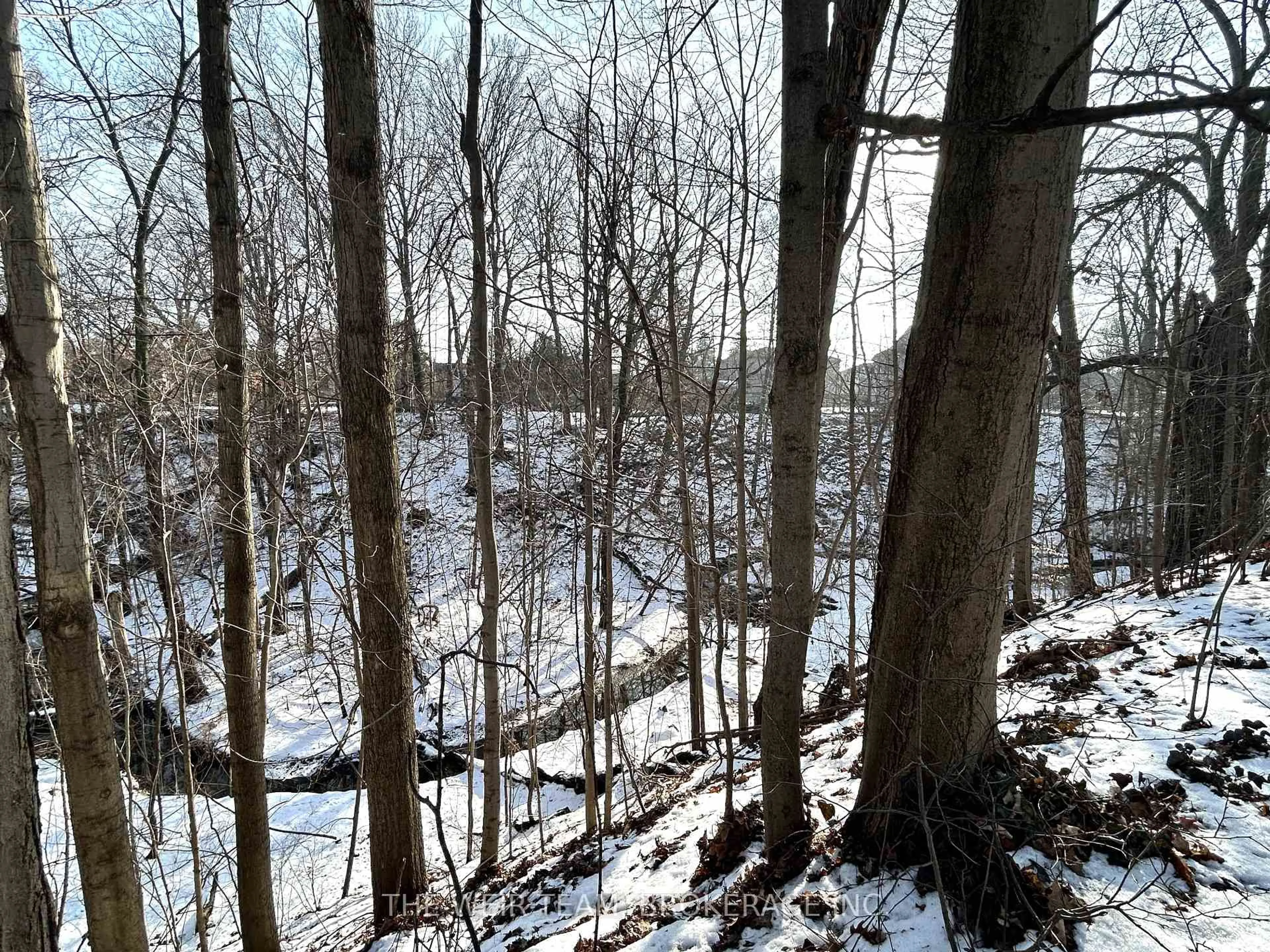 Blurry image for 17 Glen Robert Dr, Toronto Ontario M4B 1J4