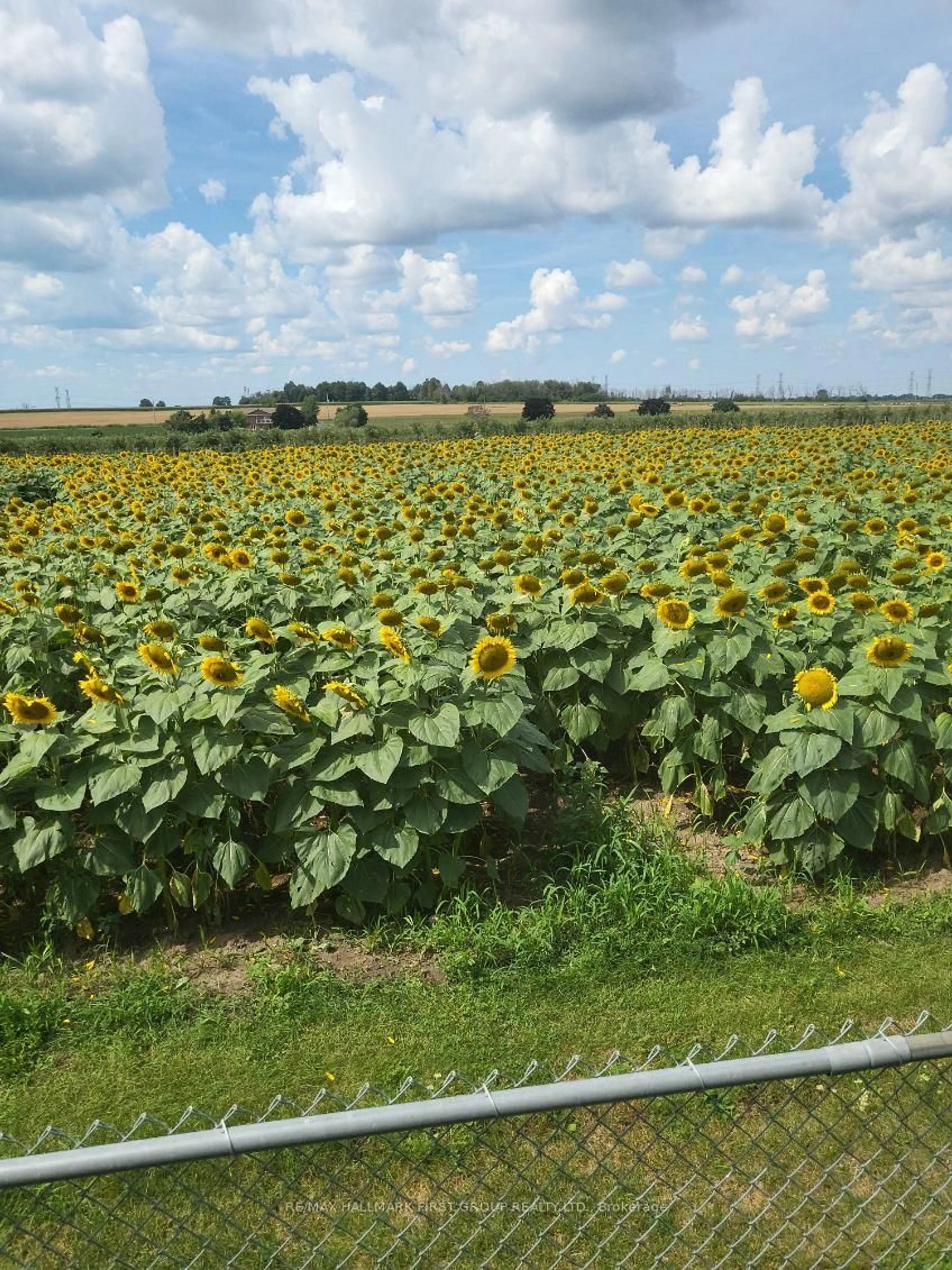 Blurry image for 188 Padfield Dr, Clarington Ontario L1C 5H7