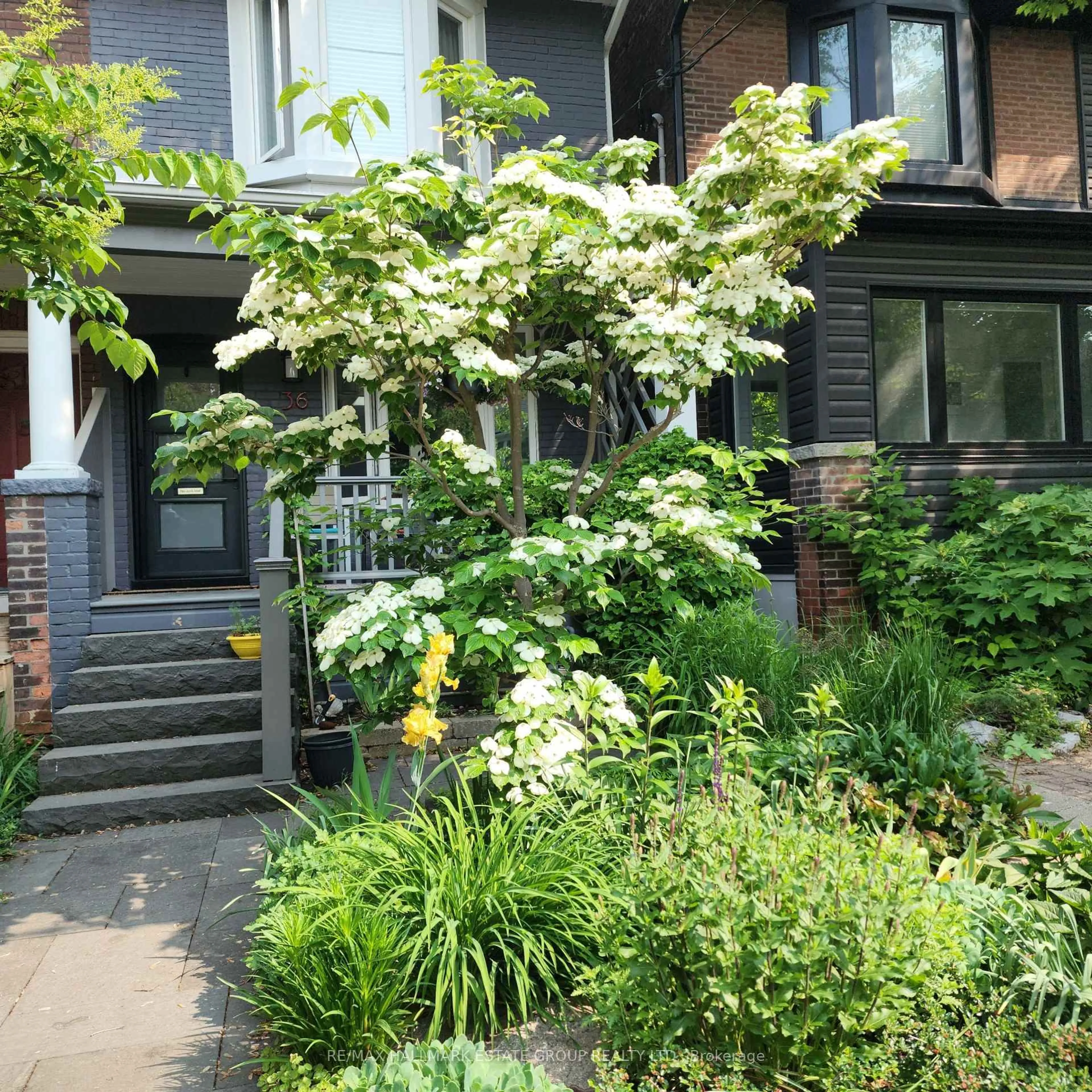 Unknown for 36 Hazelwood Ave, Toronto Ontario M4J 1K5