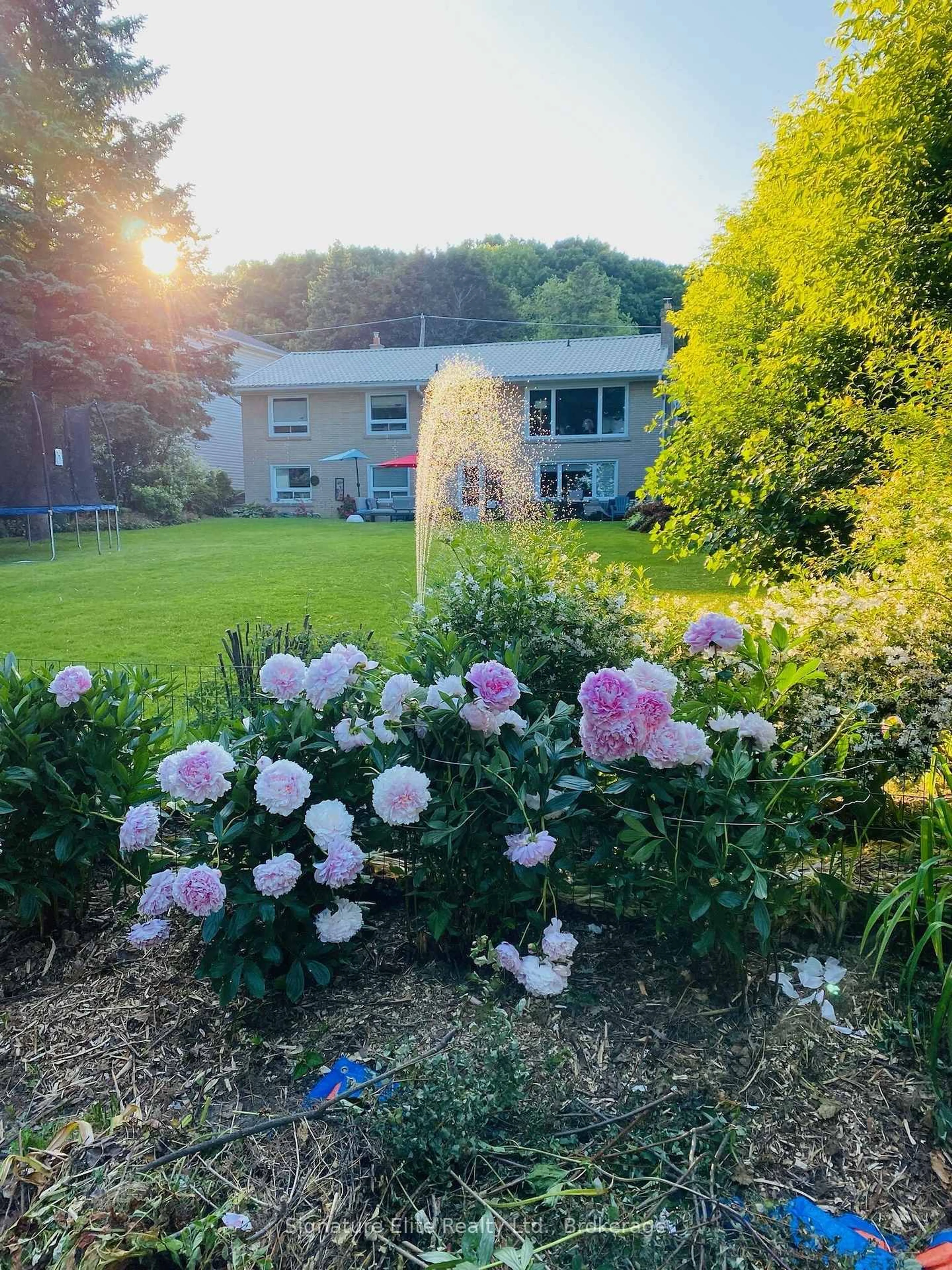 A pic from outside/outdoor area/front of a property/back of a property/a pic from drone, water/lake/river/ocean view for 71 Sylvan Ave, Toronto Ontario M1M 1J9