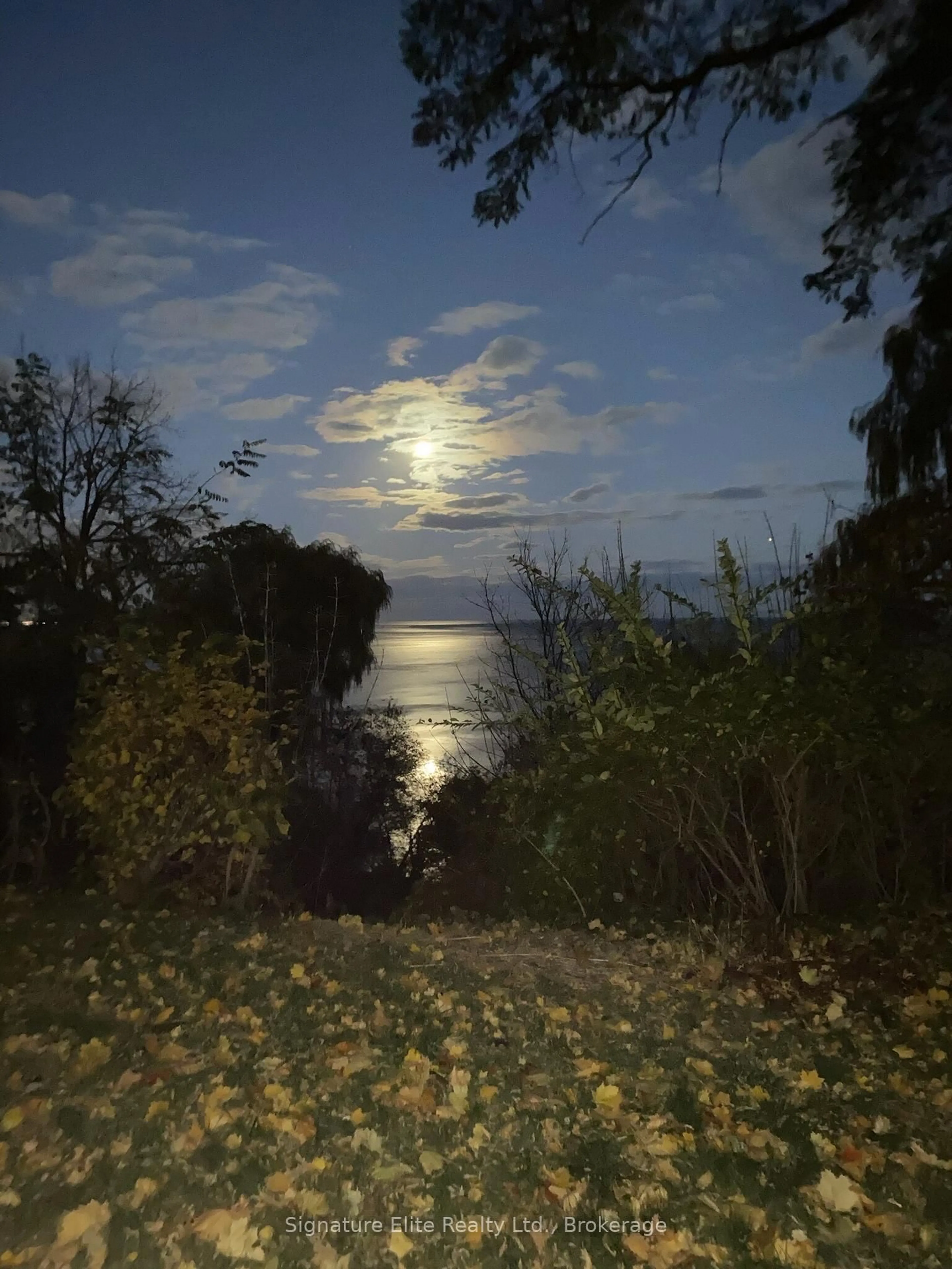 Blurry image for 71 Sylvan Ave, Toronto Ontario M1M 1J9