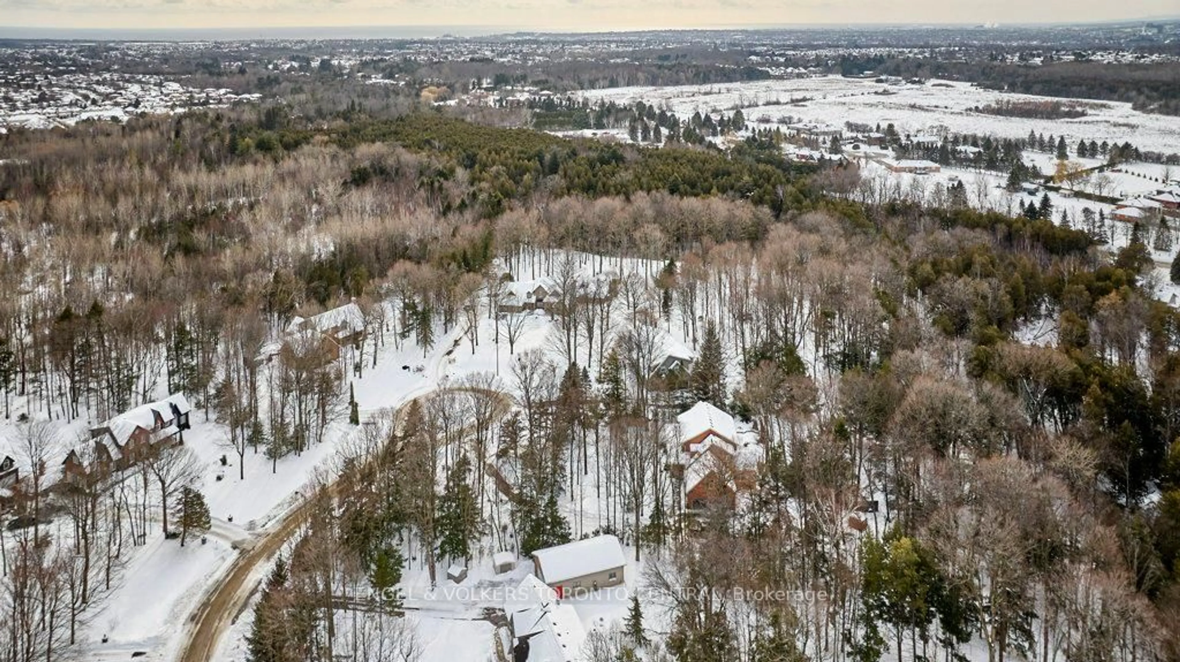 A pic from outside/outdoor area/front of a property/back of a property/a pic from drone, forest/trees view for 27 Timberlane Crt, Clarington Ontario L1E 2H1