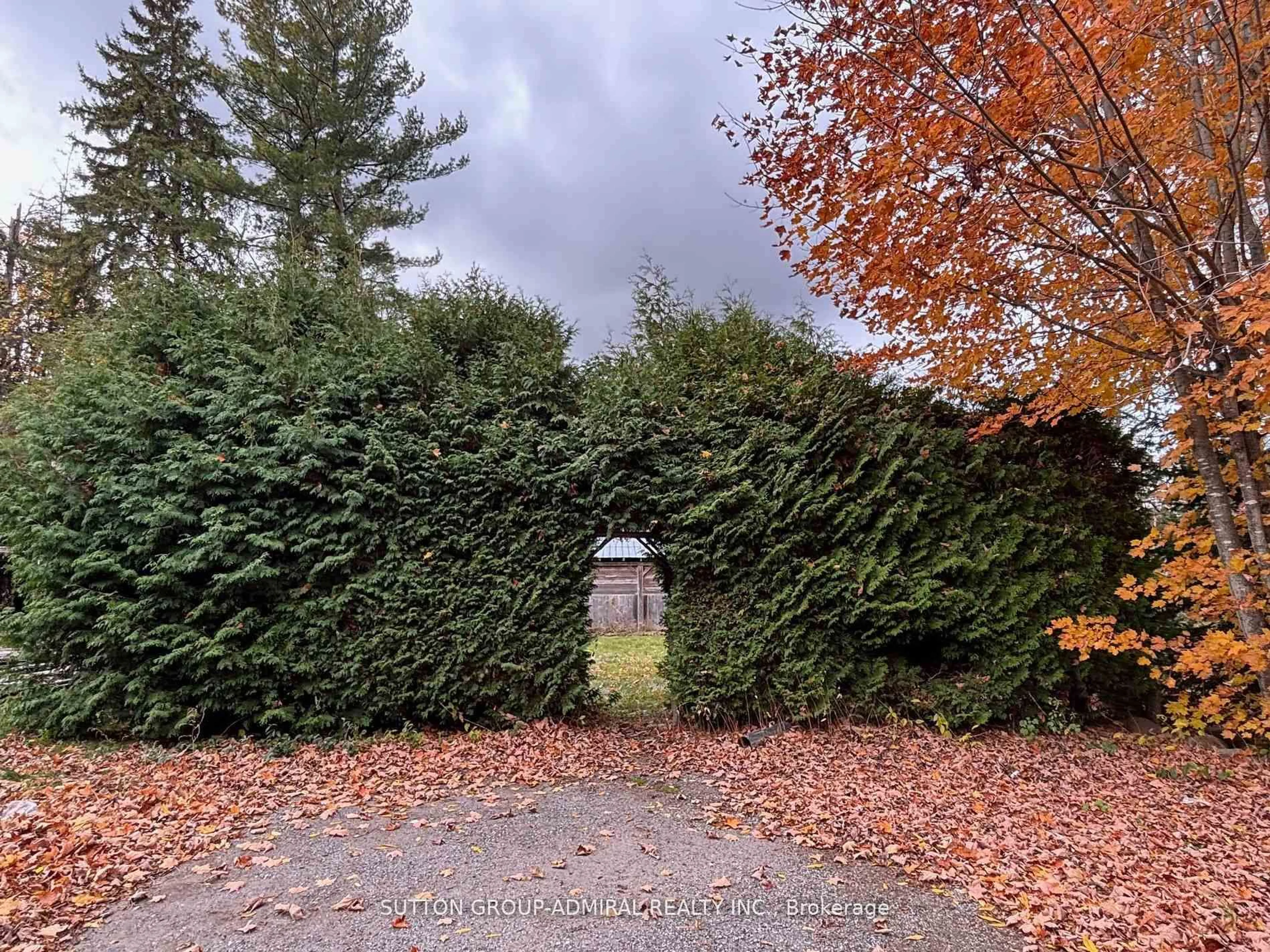 A pic from outside/outdoor area/front of a property/back of a property/a pic from drone, forest/trees view for 7574 White Rd, Clarington Ontario L0A 1E0