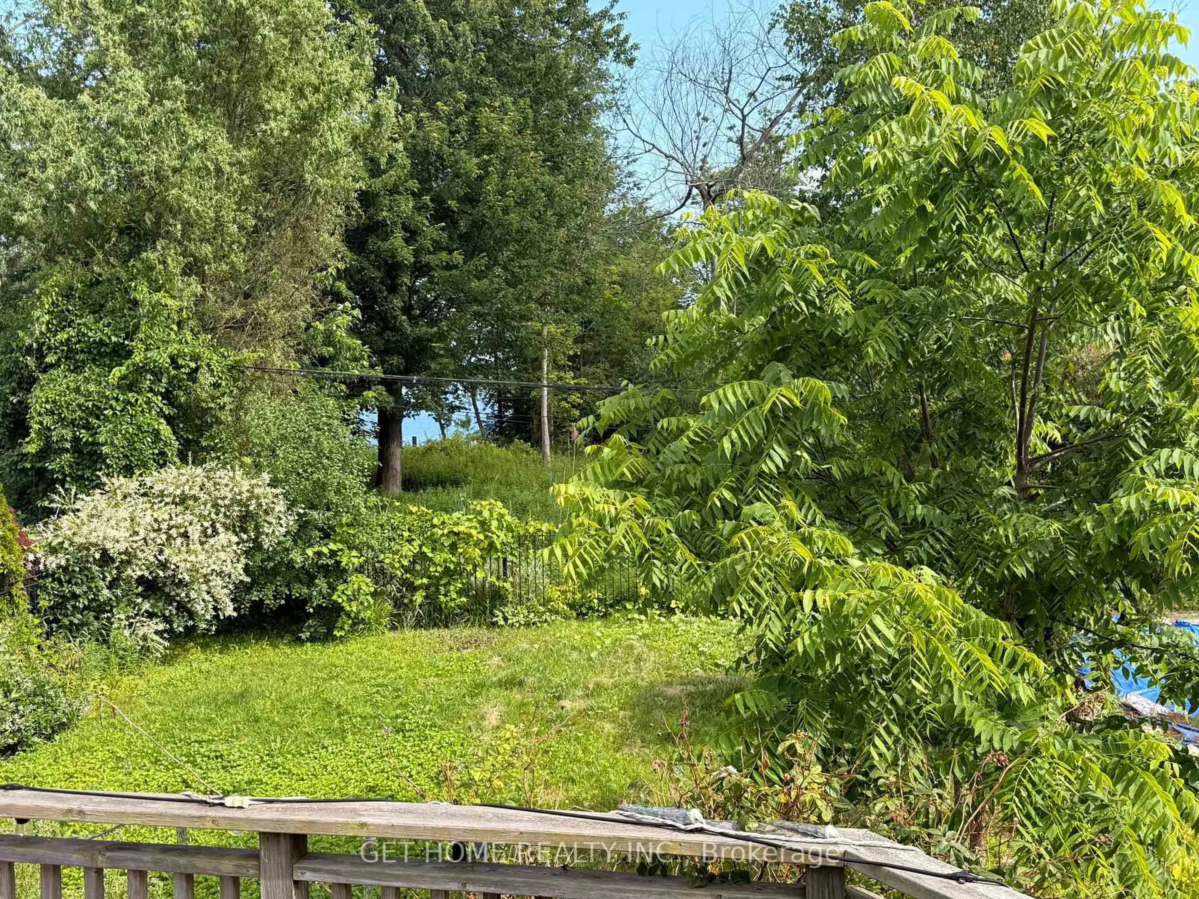 A pic from outside/outdoor area/front of a property/back of a property/a pic from drone, forest/trees view for 11 South Marine Dr, Toronto Ontario M1E 1A1