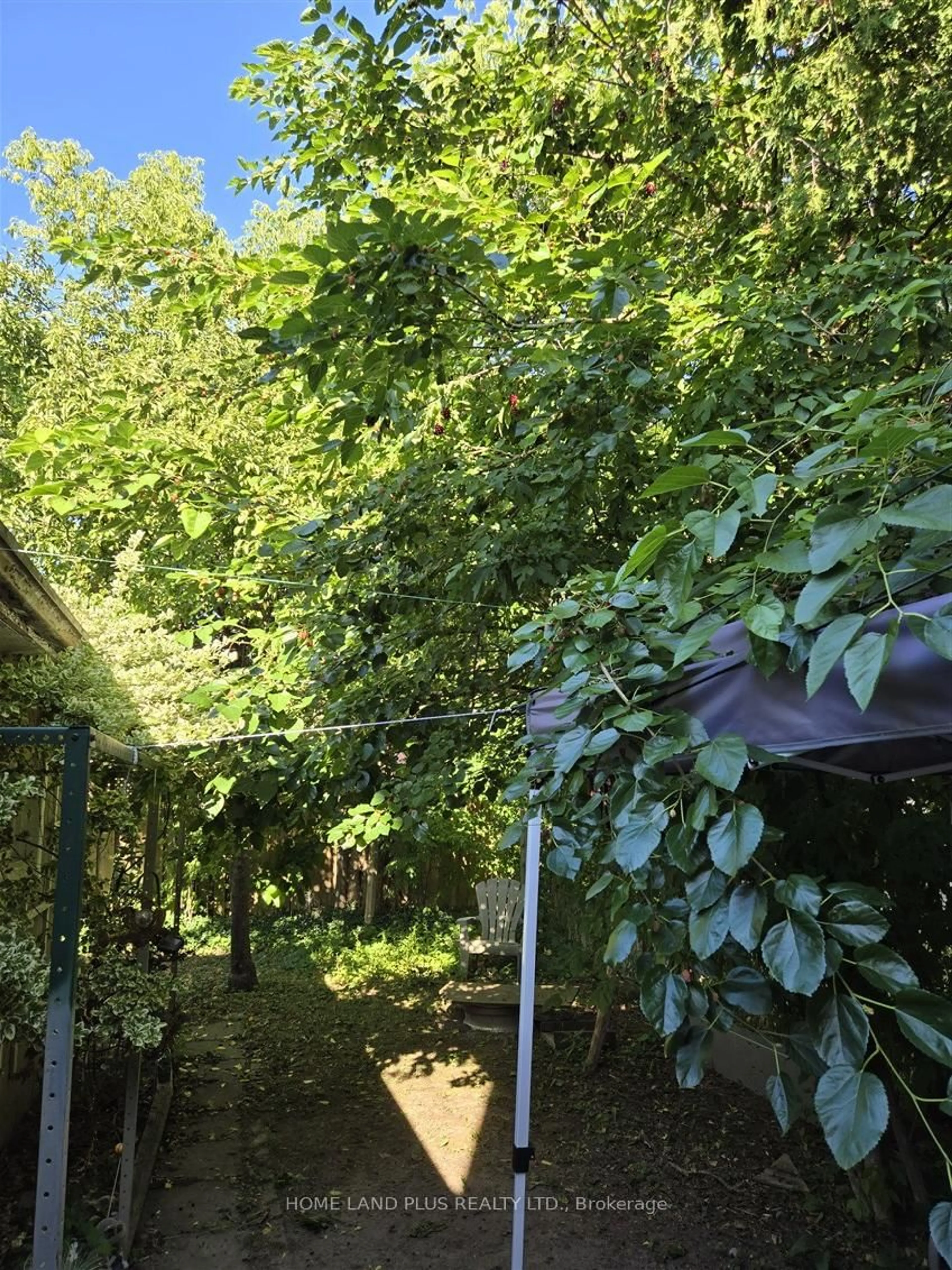 A pic from outside/outdoor area/front of a property/back of a property/a pic from drone, forest/trees view for 103 Bergen Rd, Toronto Ontario M1P 1S3
