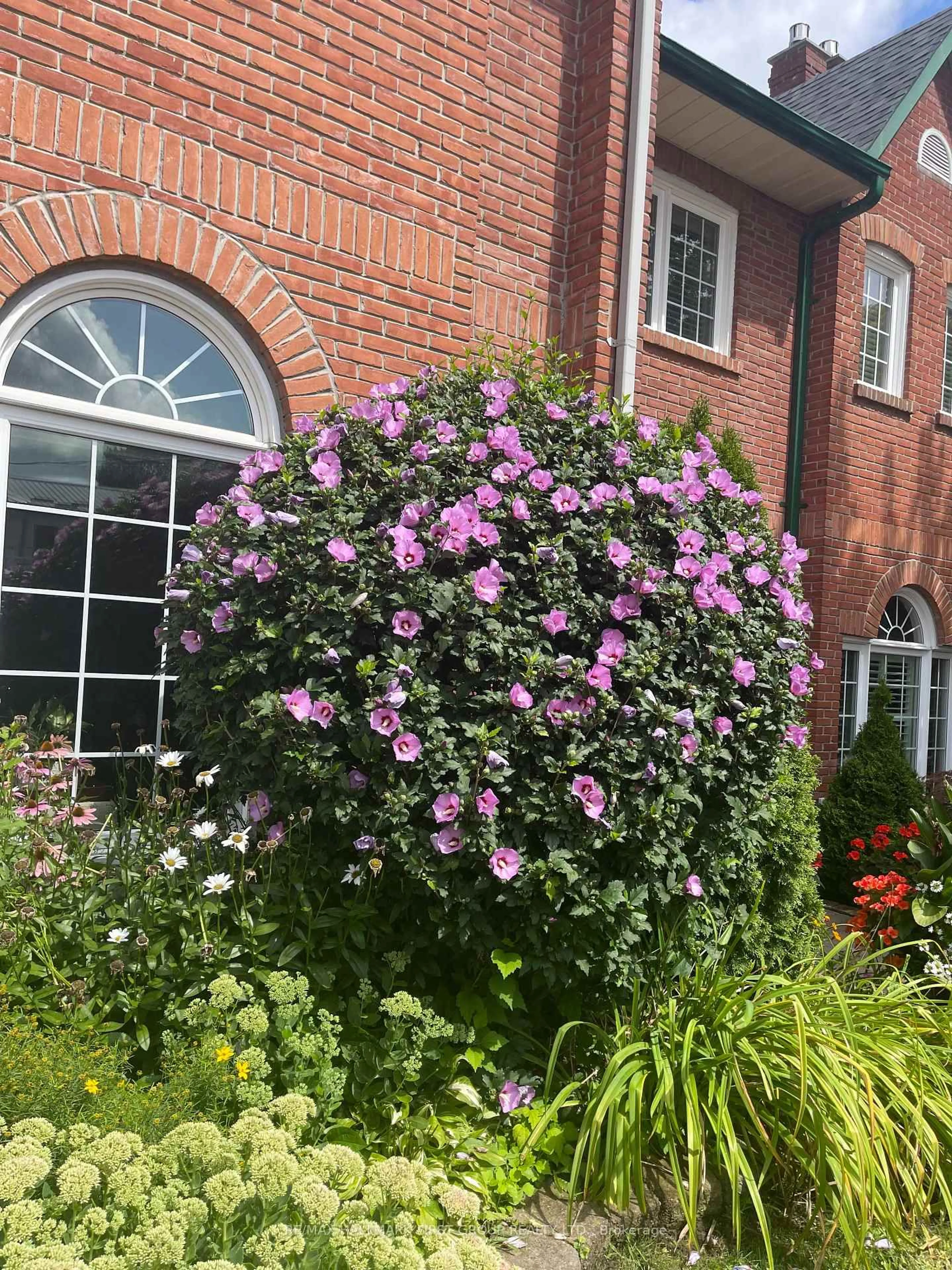 Home with brick exterior material, street for 110 Mary St #6, Whitby Ontario L1N 8M5