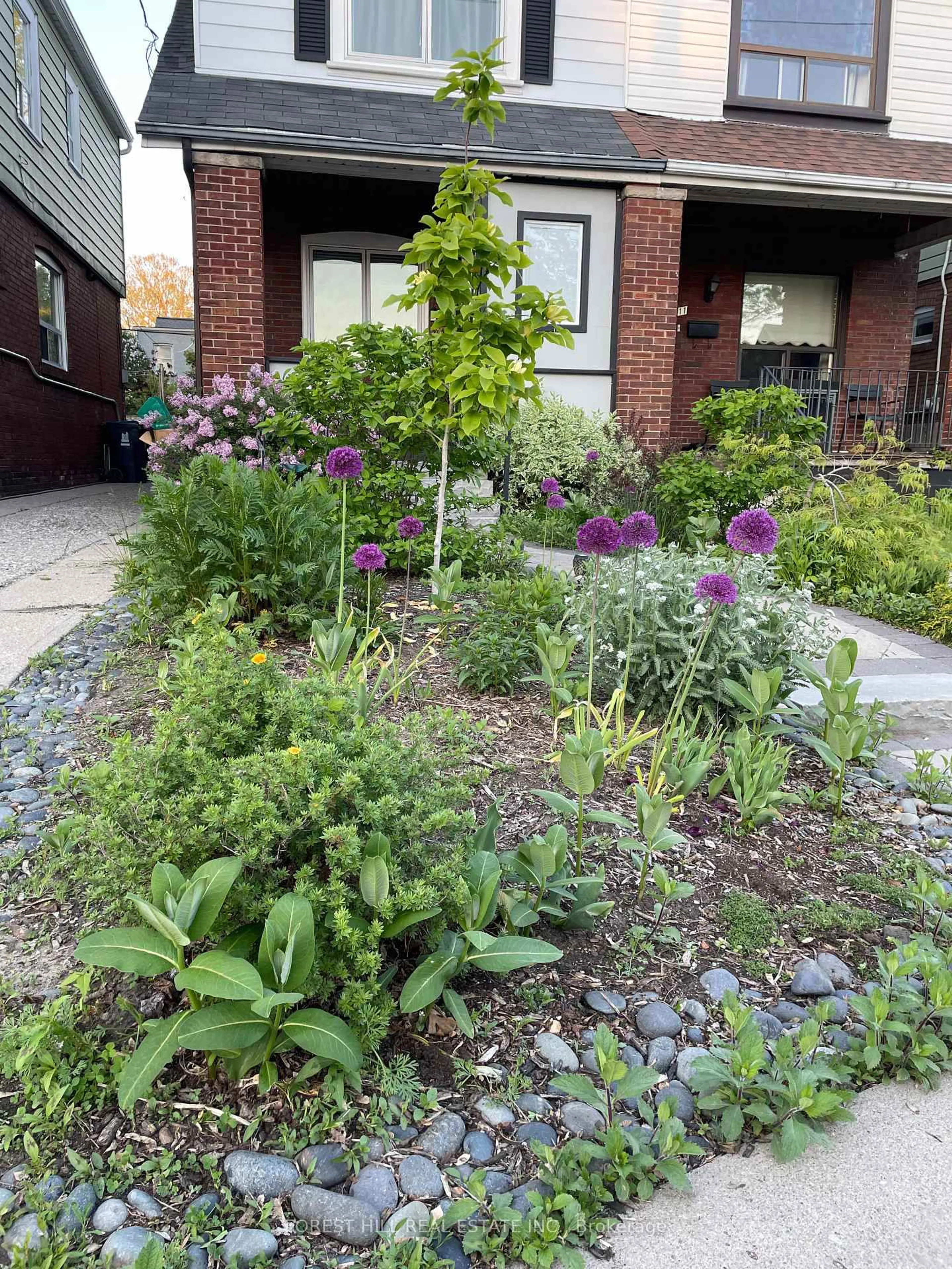 Patio, street for 11A Marlow Ave, Toronto Ontario M4J 3T8