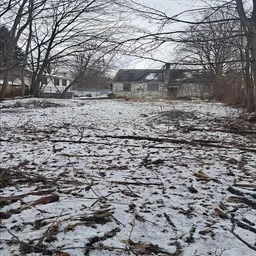 history photo preview