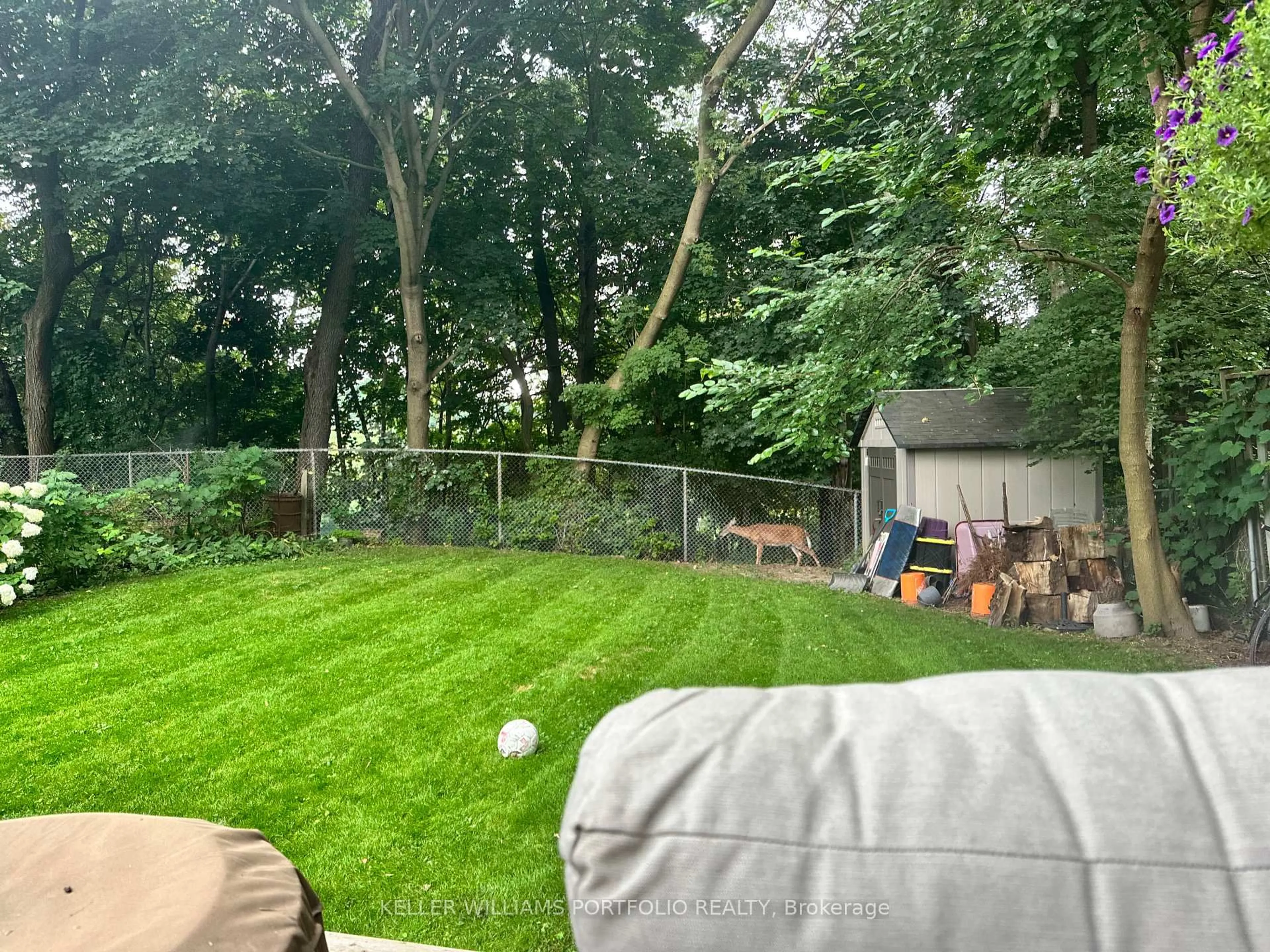 A pic from outside/outdoor area/front of a property/back of a property/a pic from drone, forest/trees view for 49 Dolphin Dr, Toronto Ontario M1L 1N5