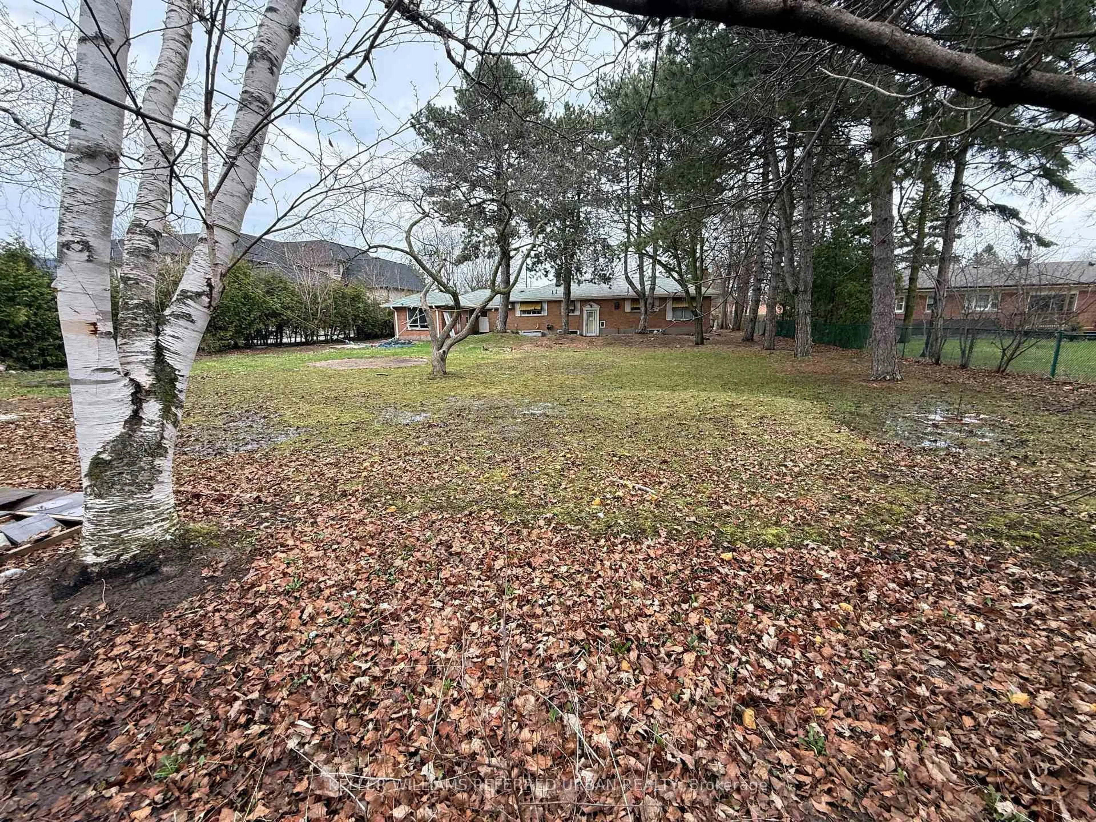 A pic from outside/outdoor area/front of a property/back of a property/a pic from drone, forest/trees view for 62 Glen Watford Dr, Toronto Ontario M1S 2C5