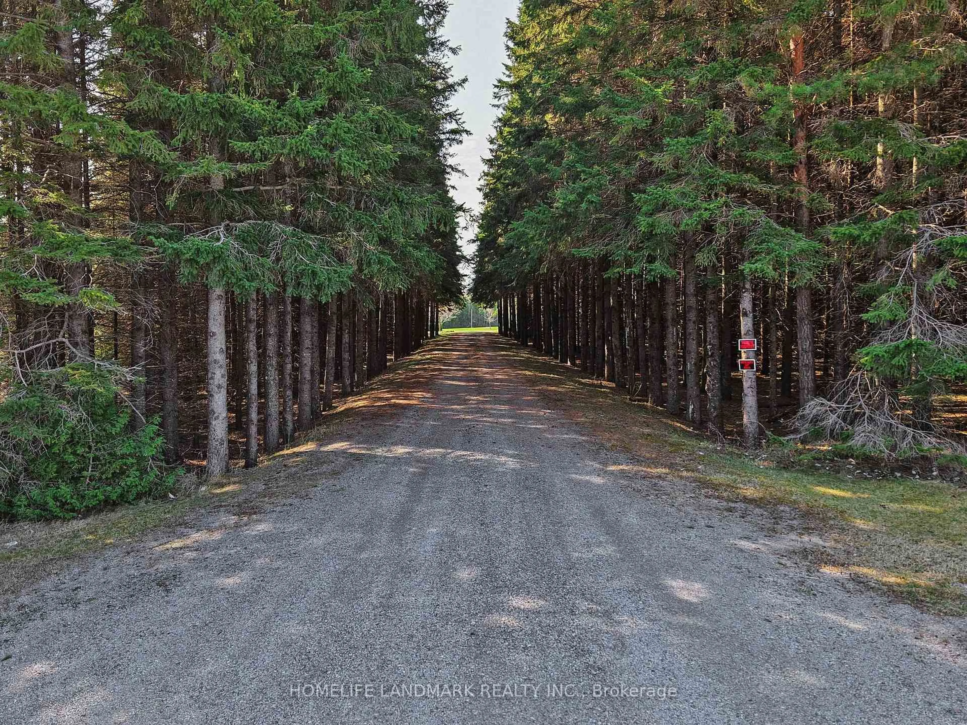 A pic from outside/outdoor area/front of a property/back of a property/a pic from drone, forest/trees view for 3580 McKee Rd, Scugog Ontario L0B 1B0