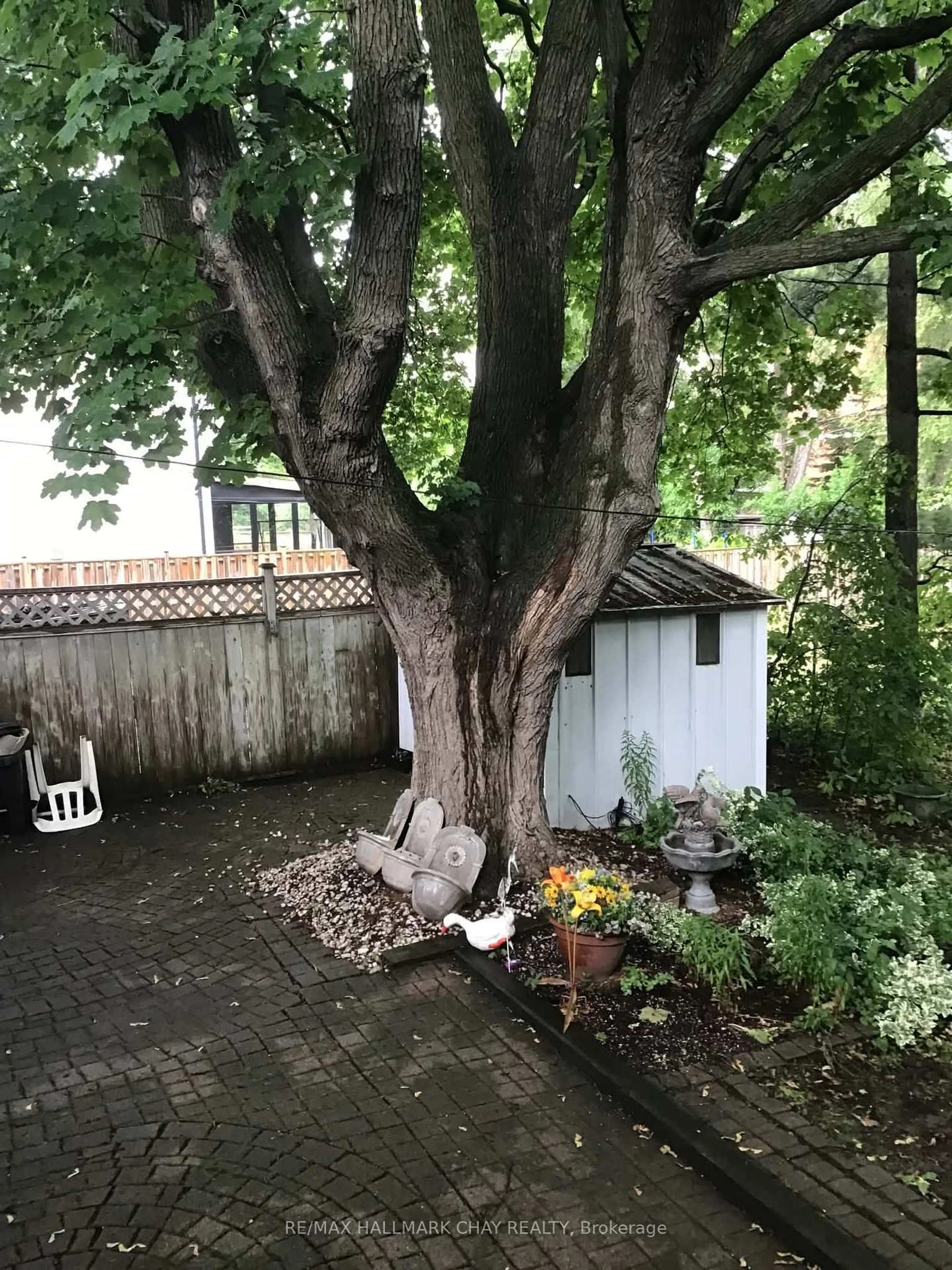 Shed for 27 Elfreda Blvd, Toronto Ontario M1L 4L5