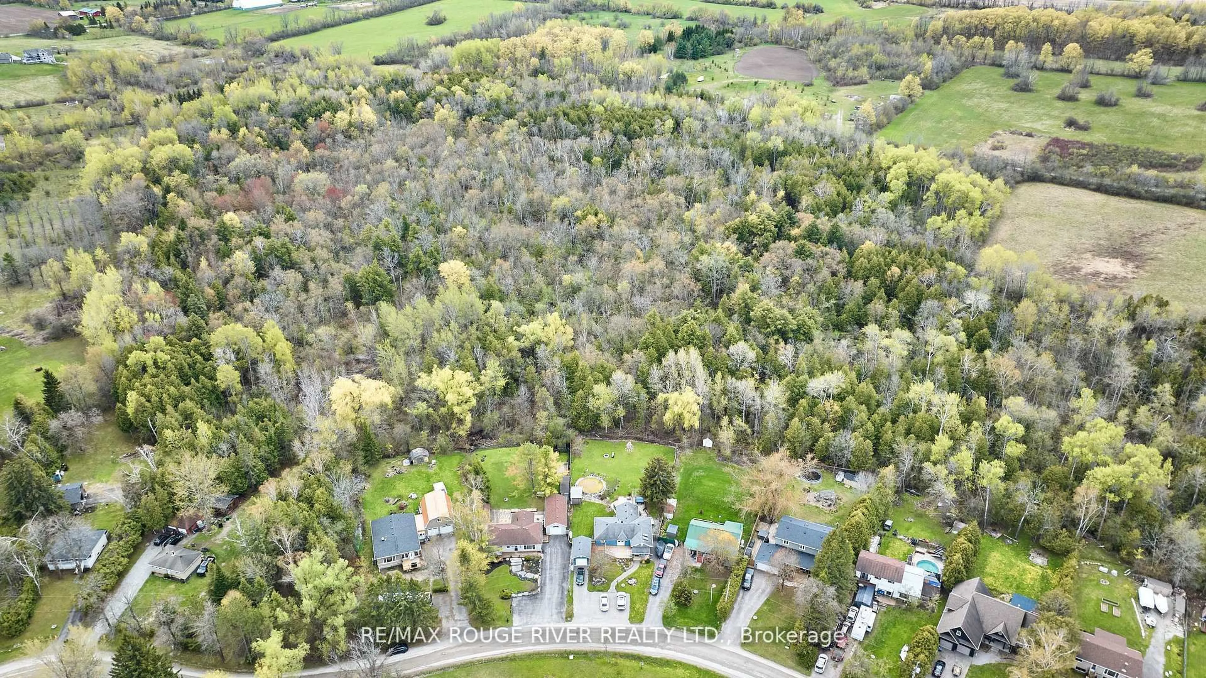 A pic from outside/outdoor area/front of a property/back of a property/a pic from drone, forest/trees view for 80 Davidge Dr, Scugog Ontario L9L 1B6