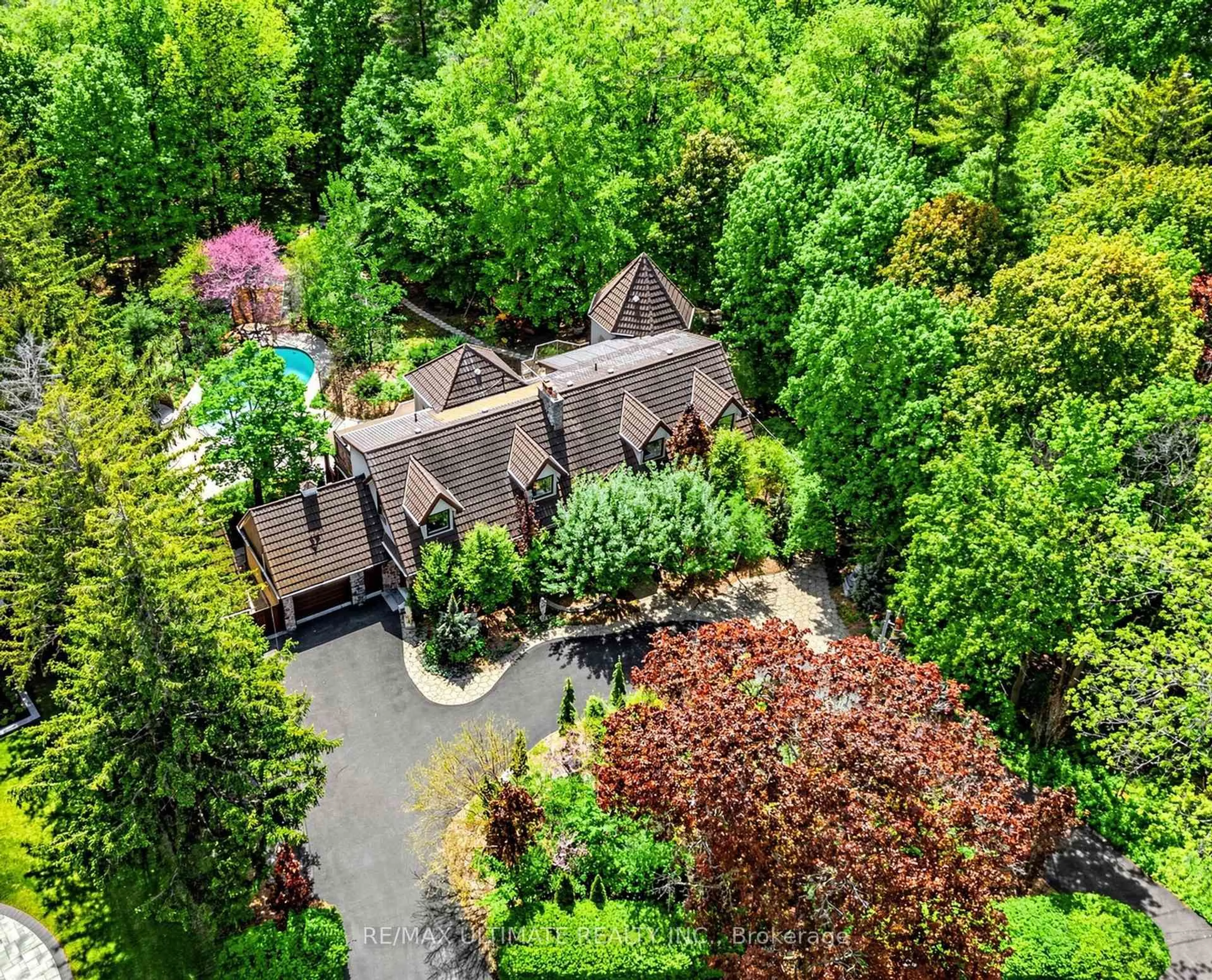 A pic from outside/outdoor area/front of a property/back of a property/a pic from drone, forest/trees view for 25 Bellehaven Cres, Toronto Ontario M1M 1H2