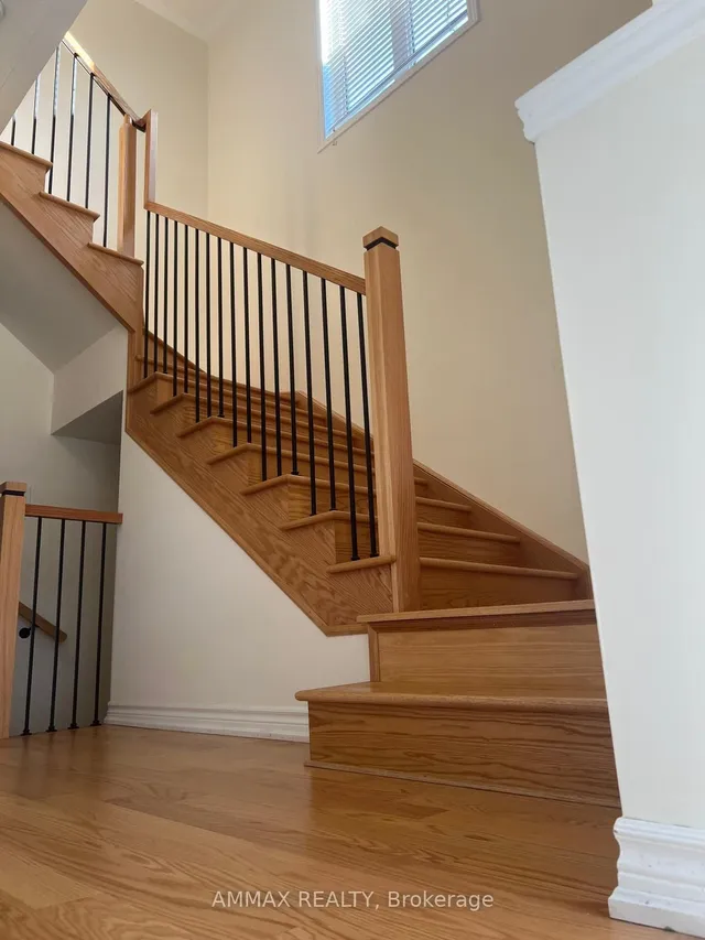 1105 Cameo St, Pickering 3