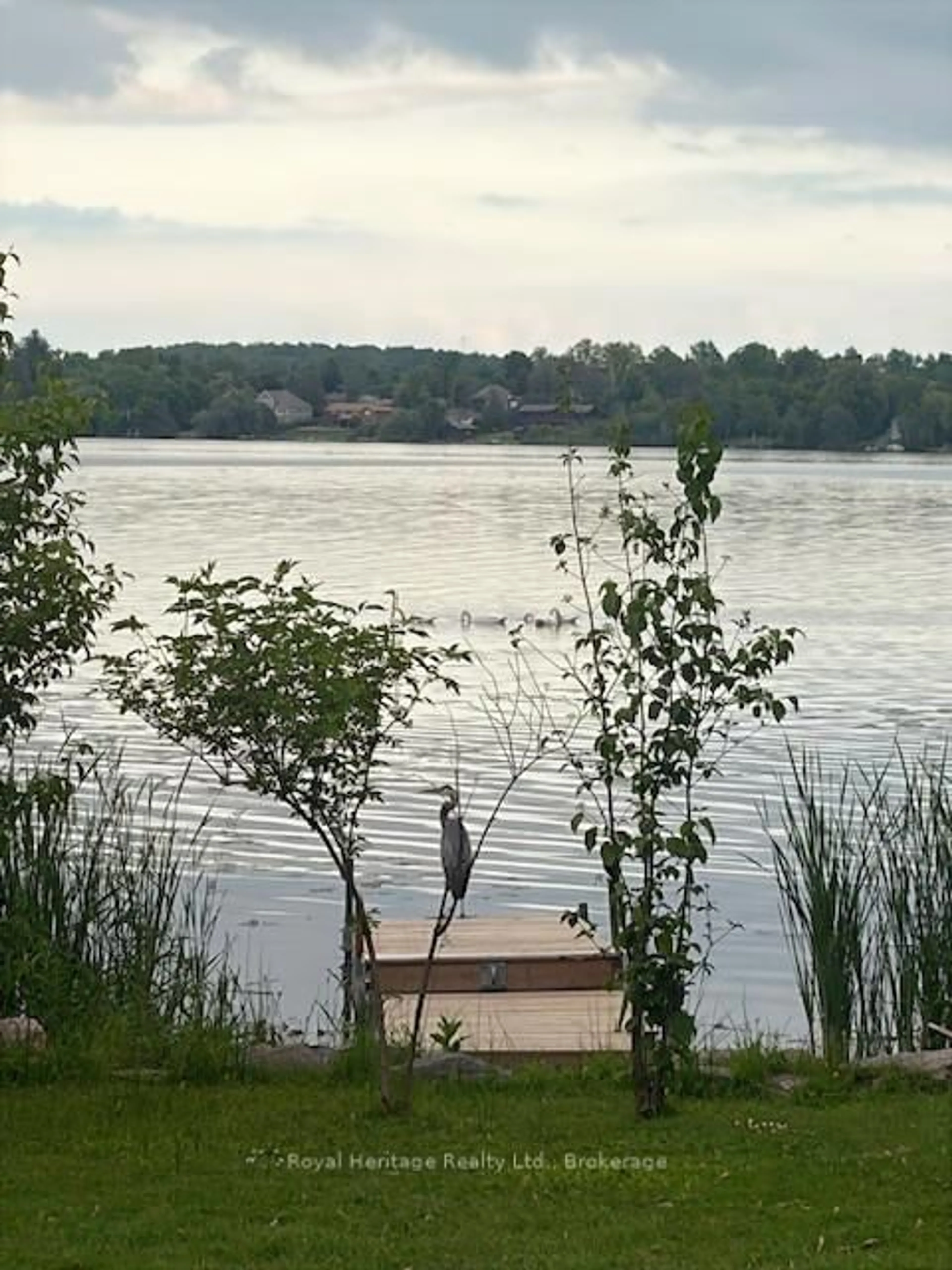 Blurry image for 56 Pine Point Lane, Scugog Ontario L9L 1B4