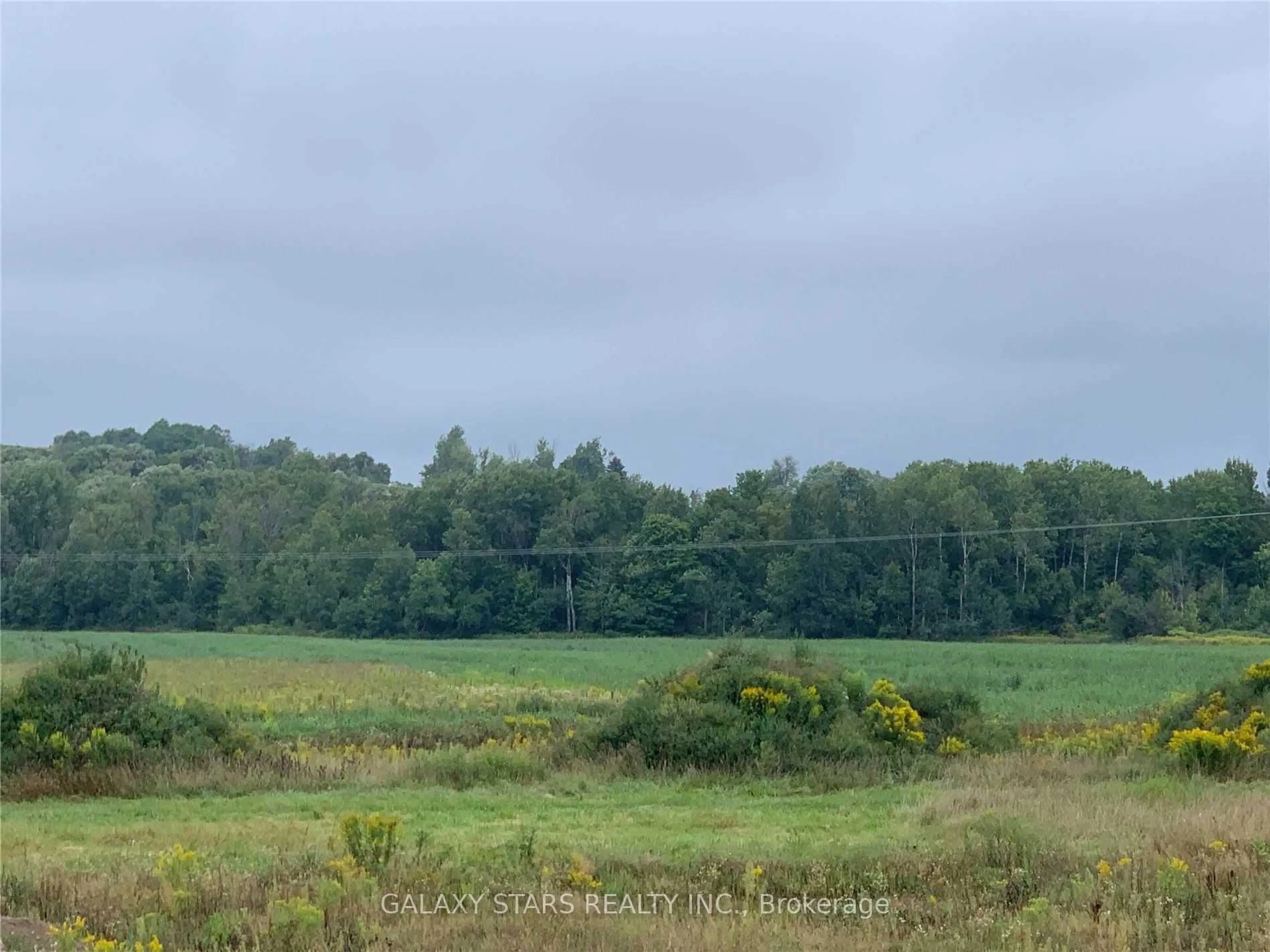 Blurry image for 4566 Ganaraska Rd, Clarington Ontario L0A 1J0