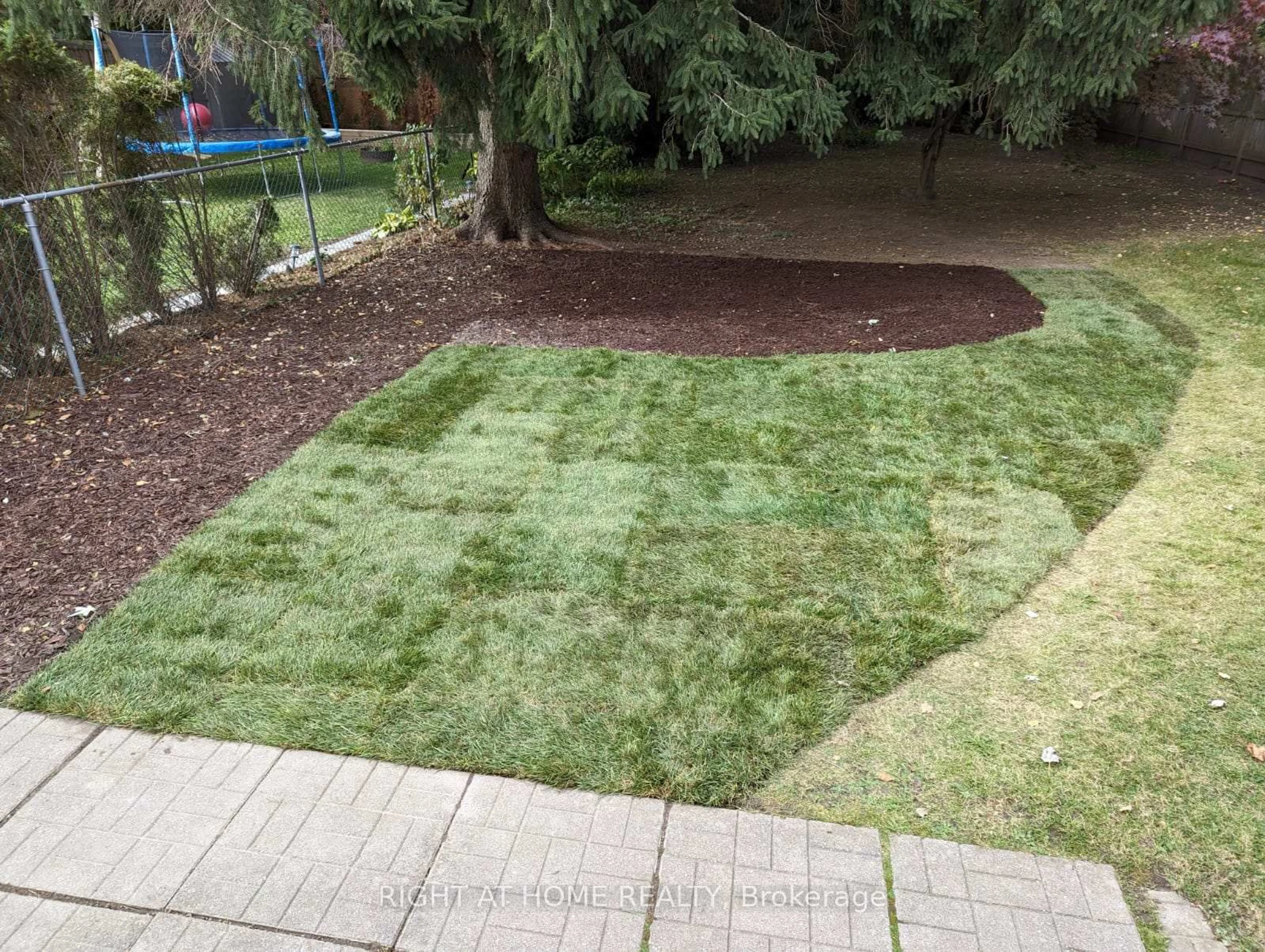 A pic from outside/outdoor area/front of a property/back of a property/a pic from drone, street for 24 Harewood Ave, Toronto Ontario M1M 2R2