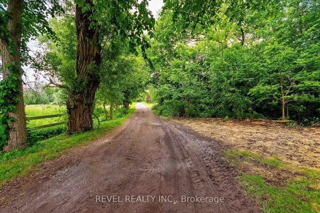 2300 Rosebank Rd, Pickering 5