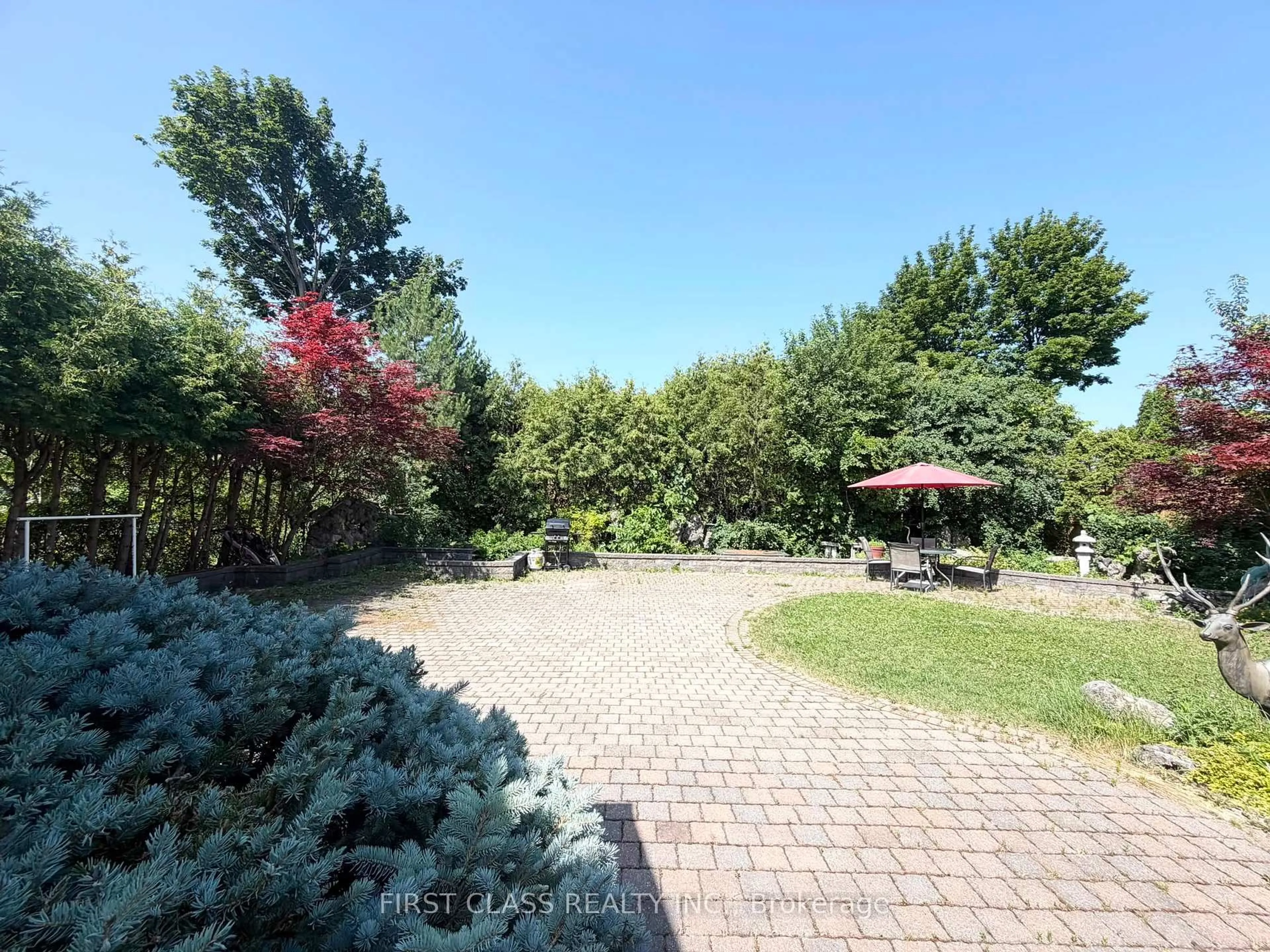 A pic from outside/outdoor area/front of a property/back of a property/a pic from drone, forest/trees view for 56 Silversted Dr, Toronto Ontario M1S 3G5