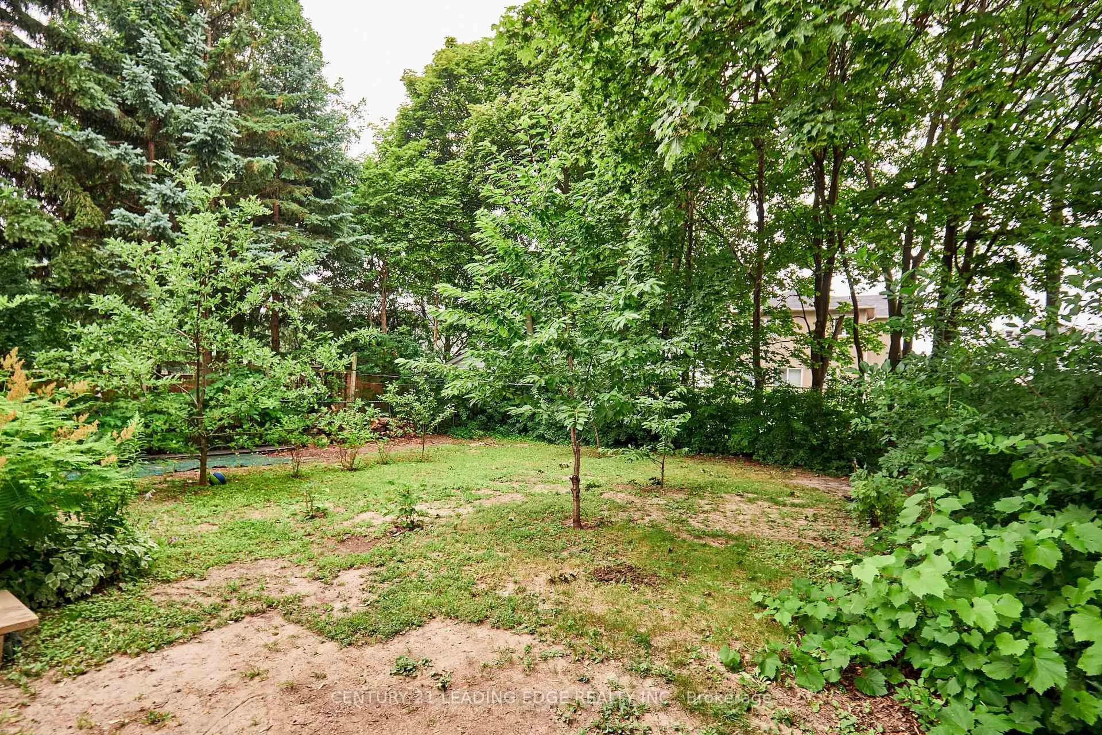 Patio, forest/trees view for 16 McCowan Rd, Toronto Ontario M1M 3L8
