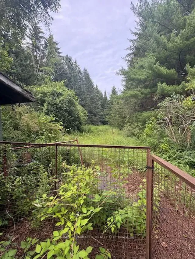 869 Townline Rd, Clarington 3