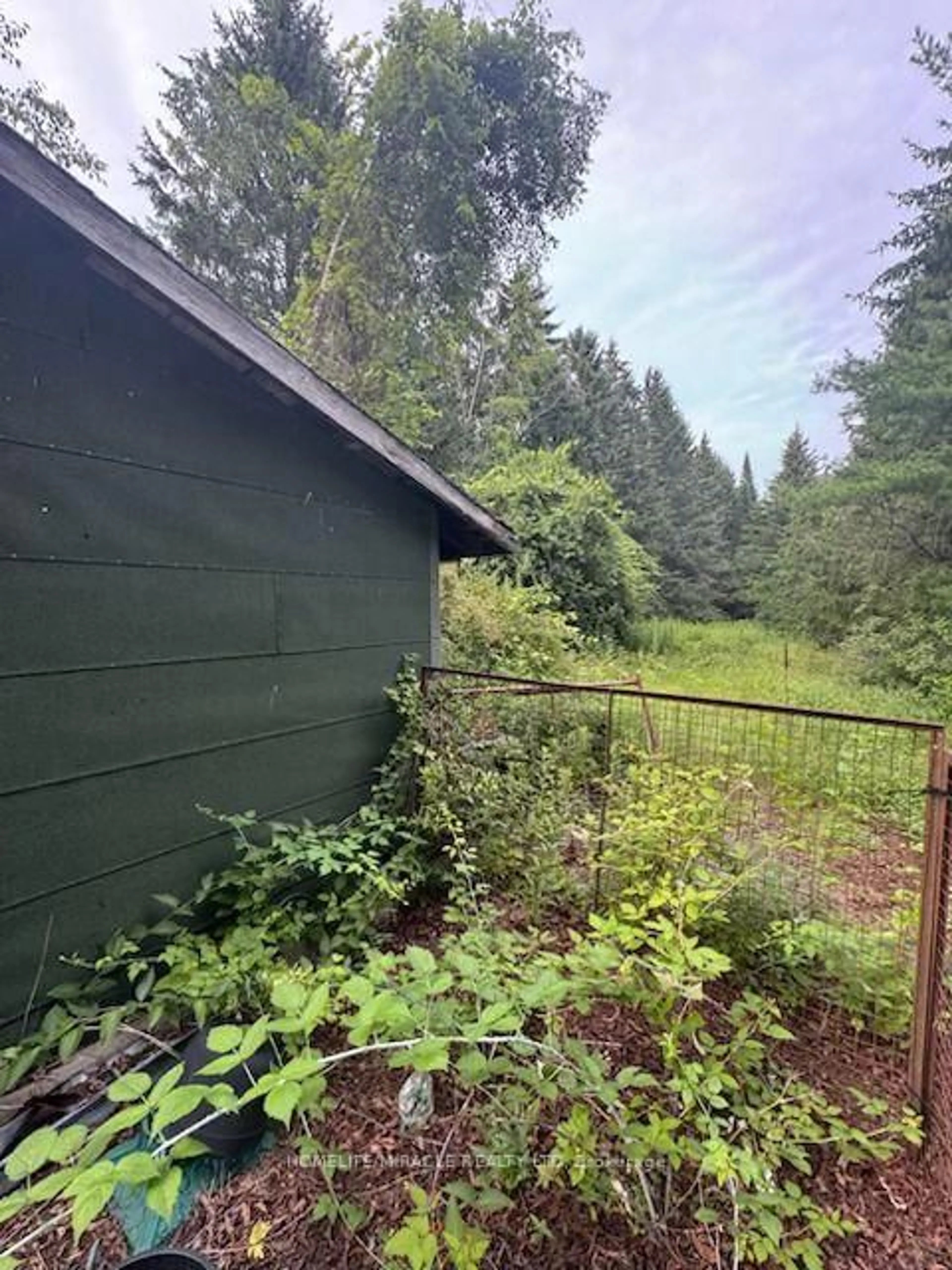 Shed for 869 Townline Rd, Clarington Ontario L1E 2J3