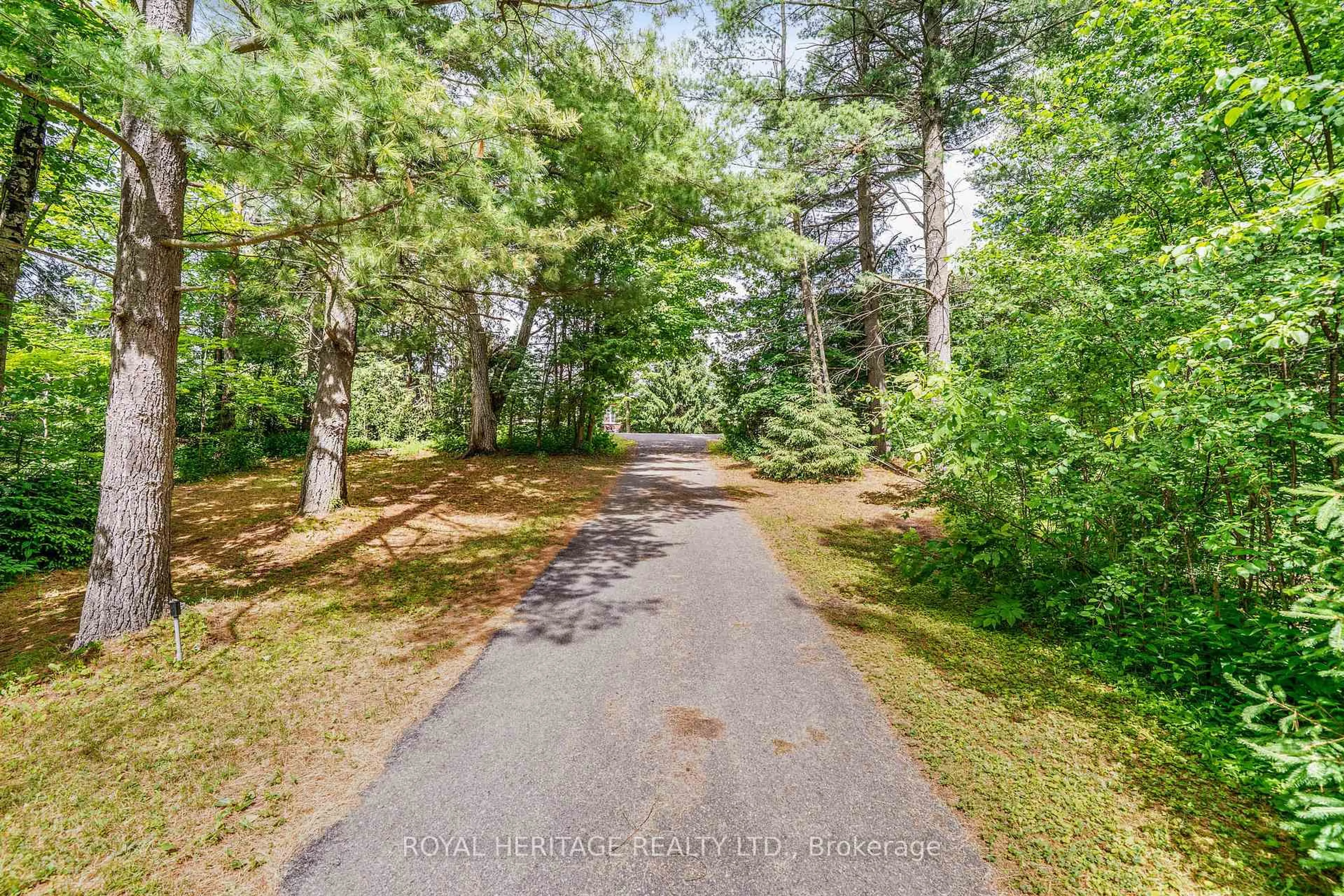 A pic from outside/outdoor area/front of a property/back of a property/a pic from drone, forest/trees view for 5260 Coronation Rd, Whitby Ontario L1M 1G7