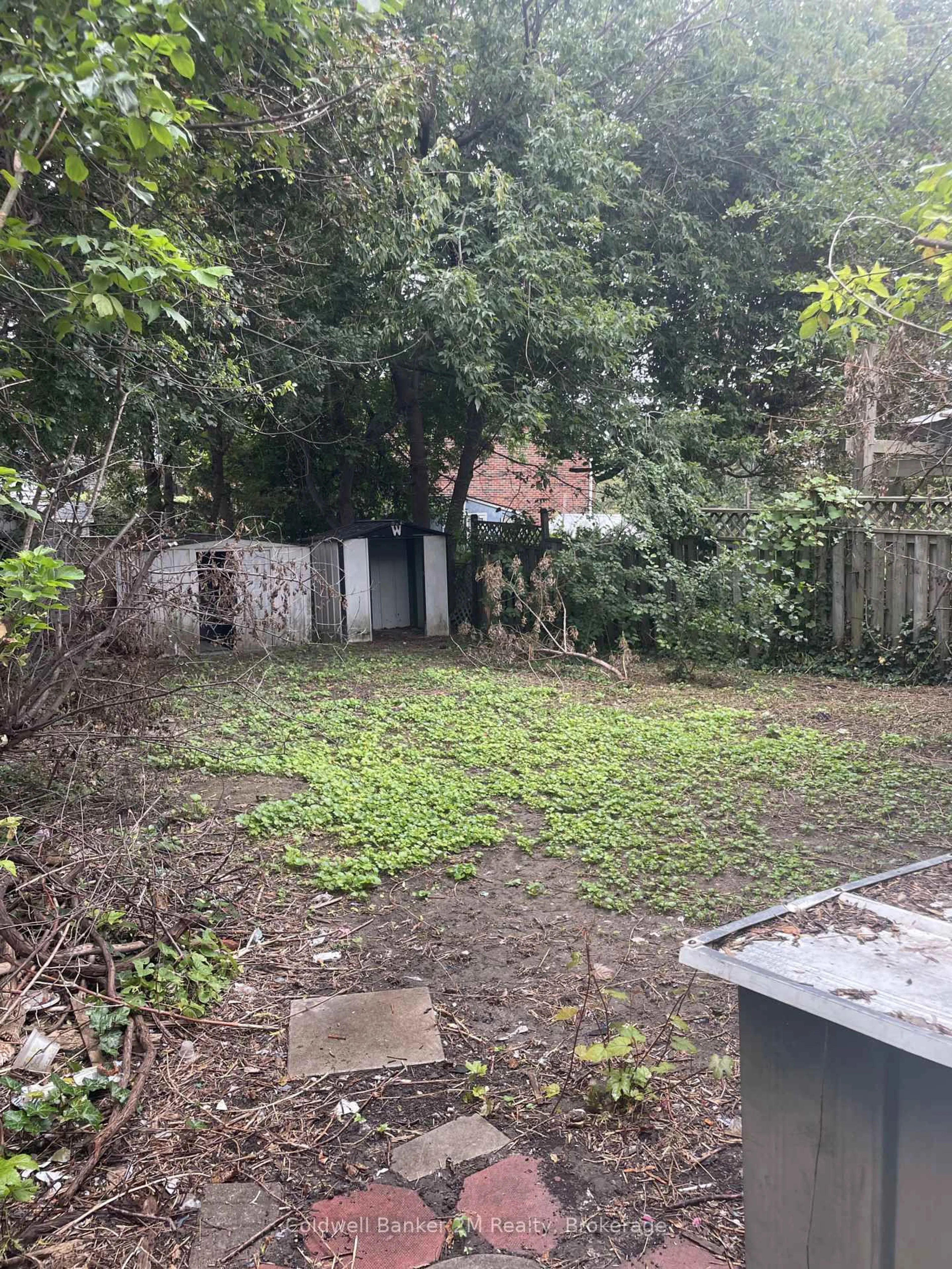 Shed for 113 Elgin St, Oshawa Ontario L1G 1S5