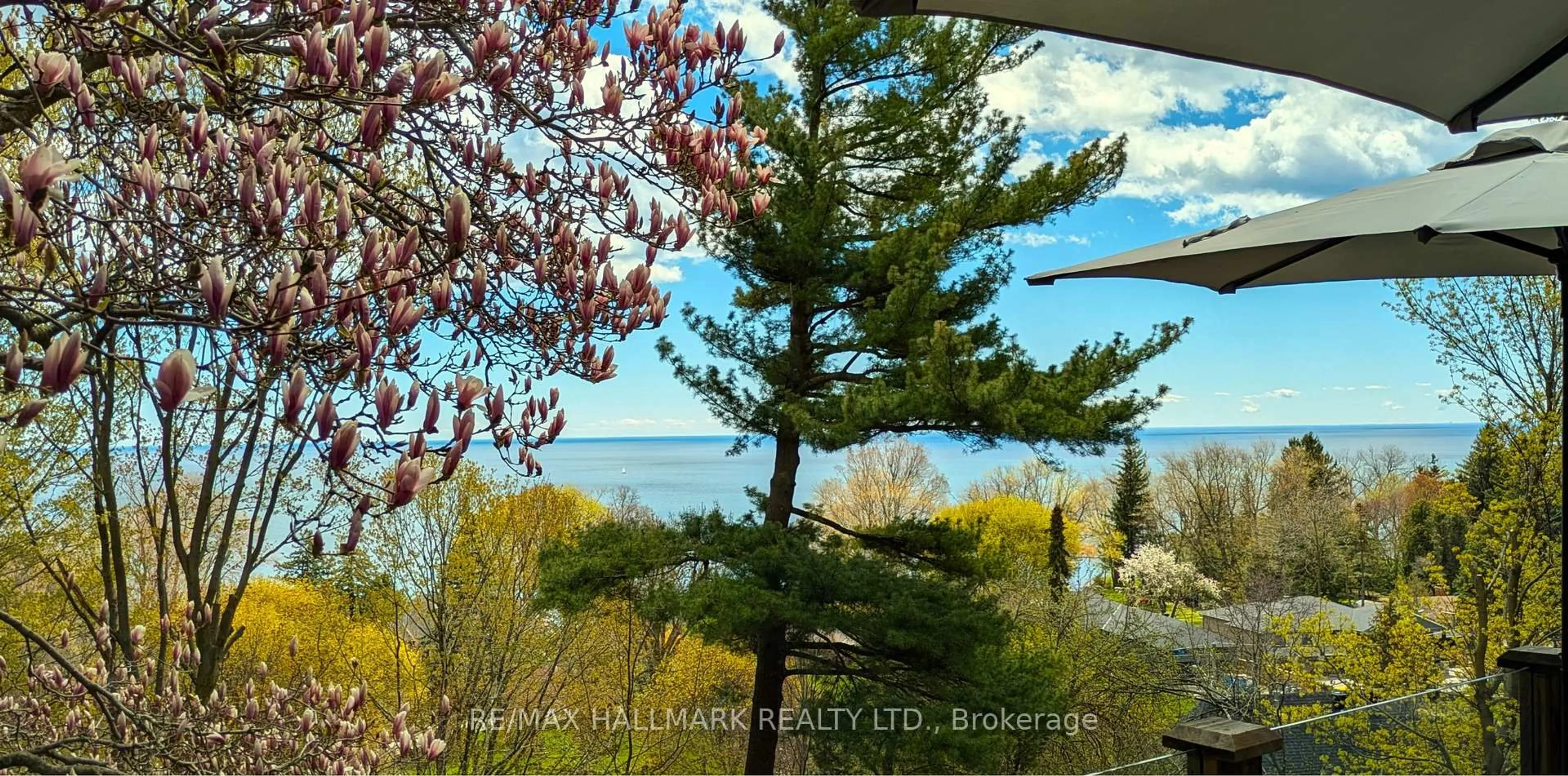 A pic from outside/outdoor area/front of a property/back of a property/a pic from drone, water/lake/river/ocean view for 2 Ledge Rd, Toronto Ontario M1M 1H1
