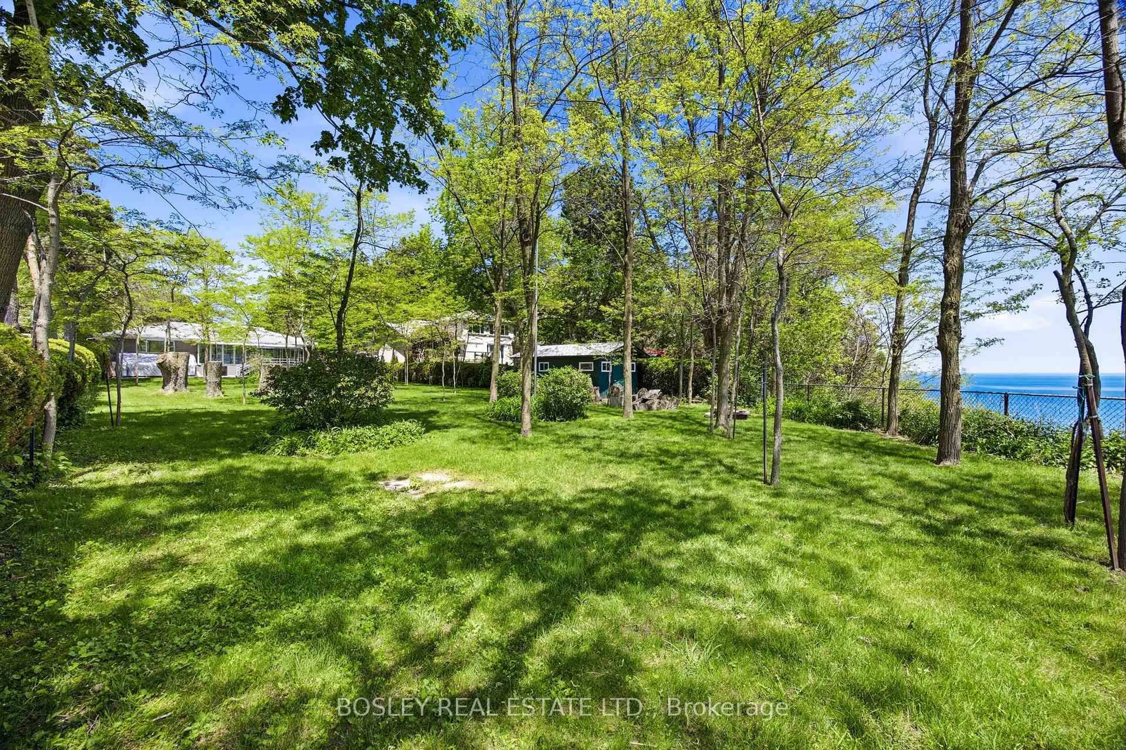 A pic from outside/outdoor area/front of a property/back of a property/a pic from drone, forest/trees view for 133 Sylvan Ave, Toronto Ontario M1M 1J9
