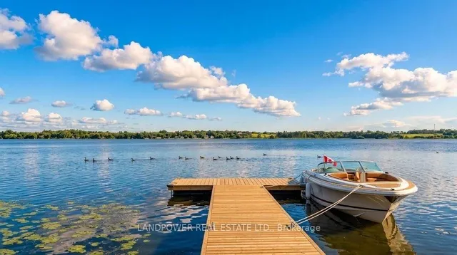 104 Cawkers Cove Rd, Scugog 5