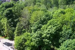 history photo preview