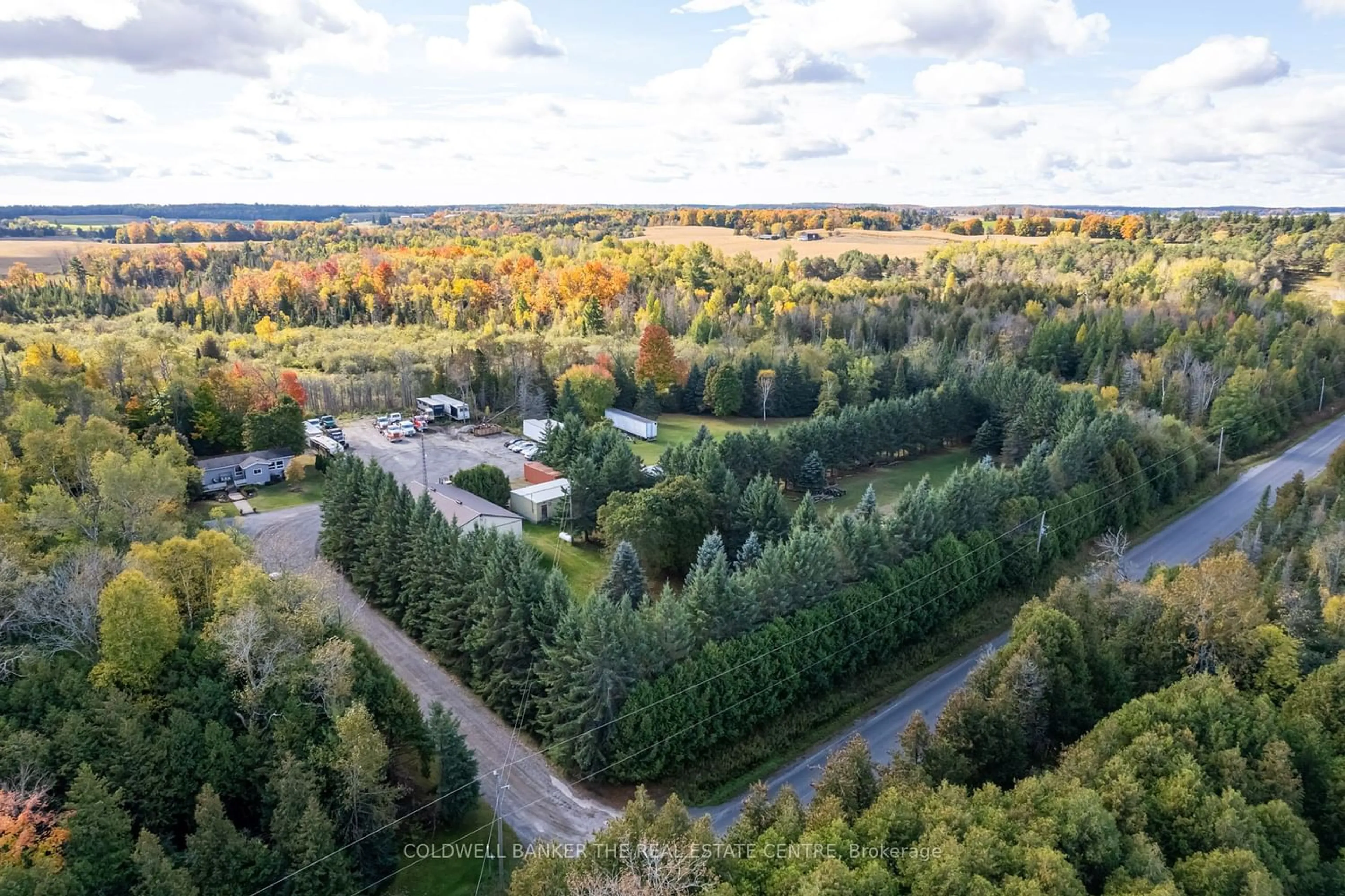 Forest view for 3920 Devitts Rd, Scugog Ontario L0B 1B0