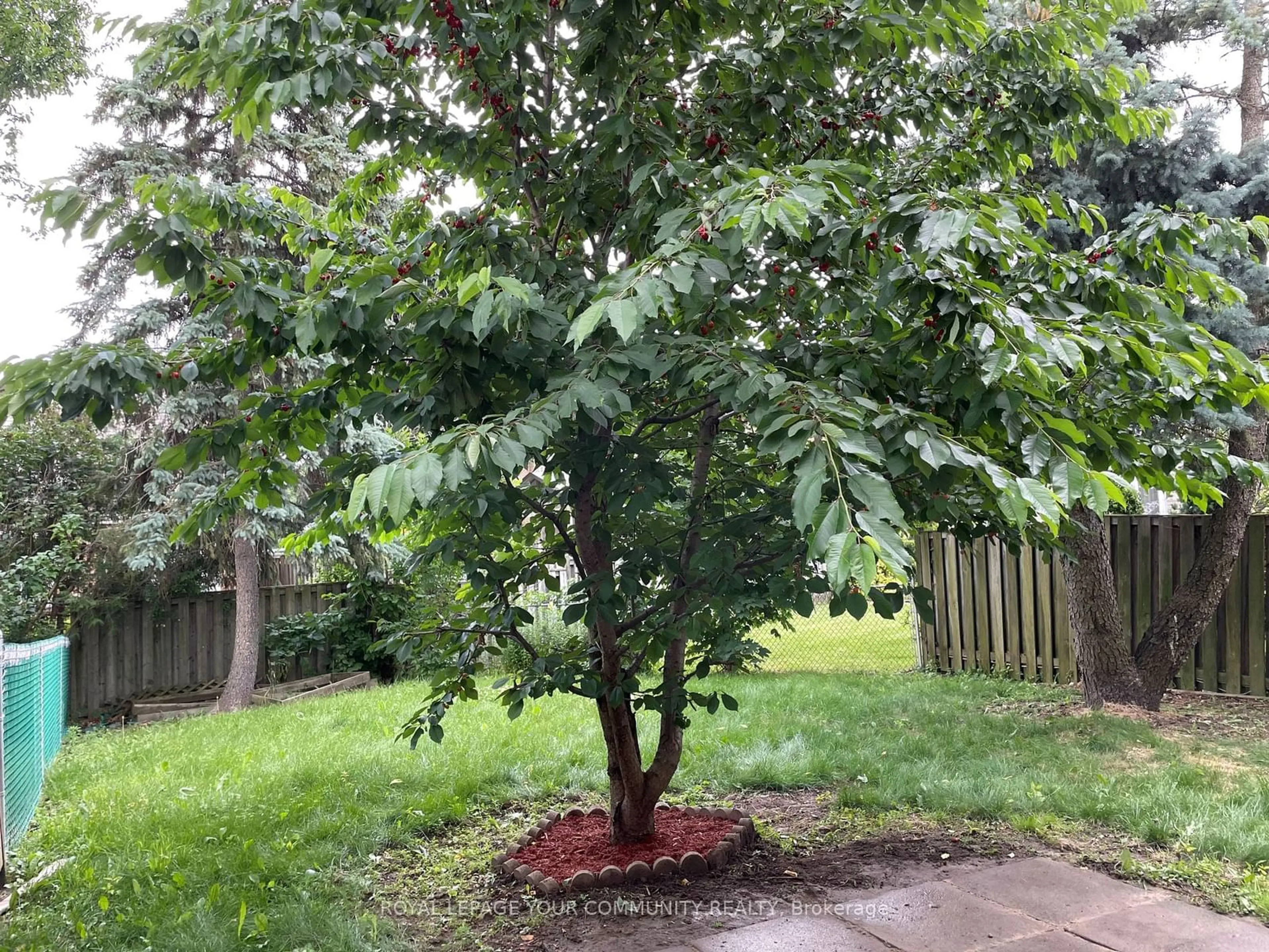 Patio for 146 Wintermute Blvd, Toronto Ontario M1W 3N8