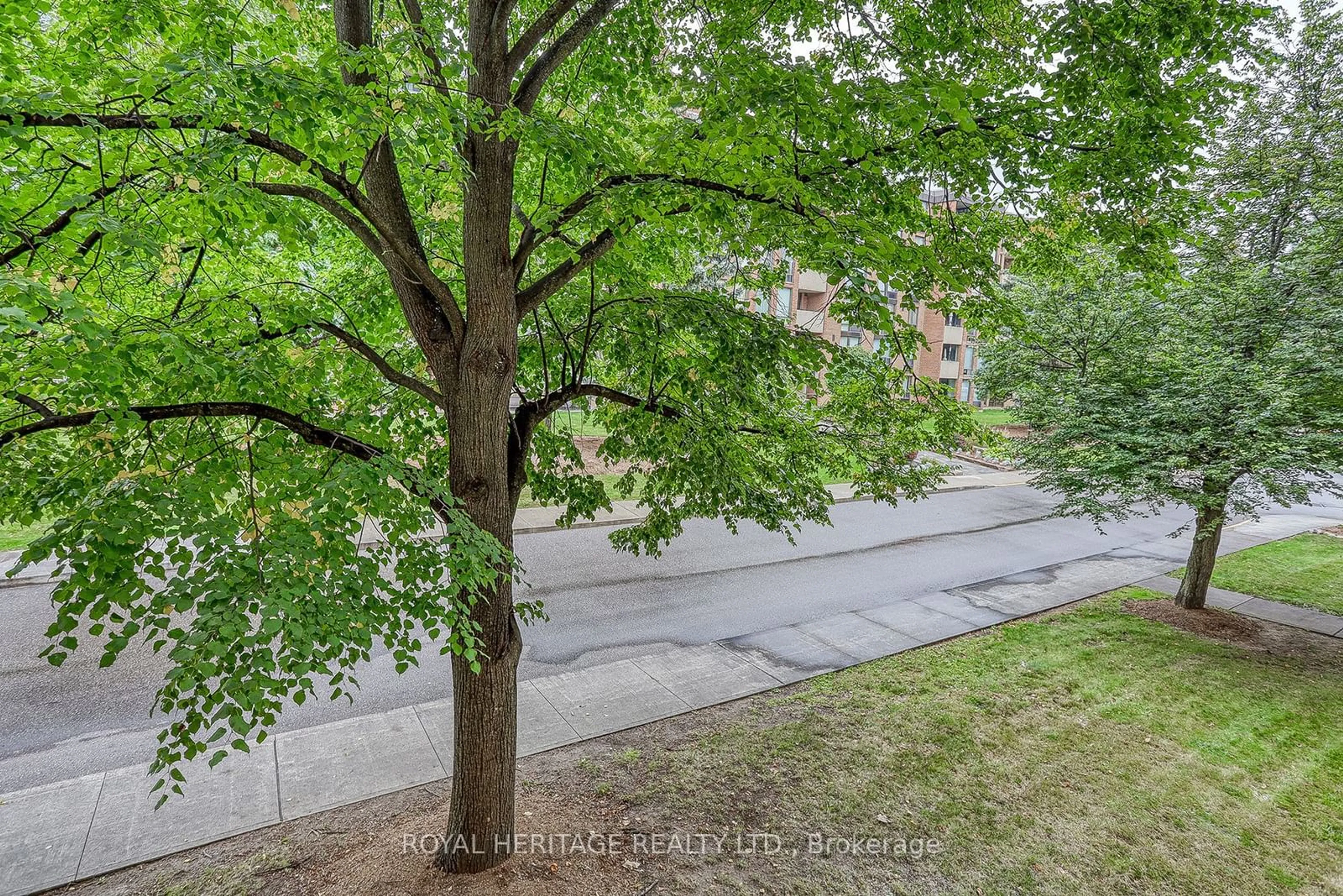 A pic from exterior of the house or condo, the street view for 1525 Diefenbaker Crt #215, Pickering Ontario L1V 3W1