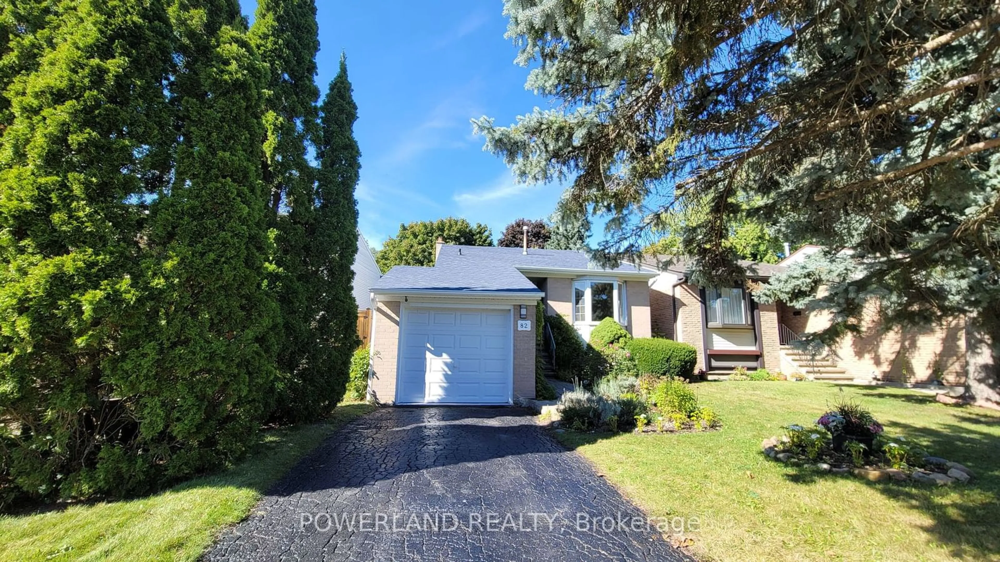 Frontside or backside of a home, the fenced backyard for 82 Castle Rock Dr, Richmond Hill Ontario L4C 5K4