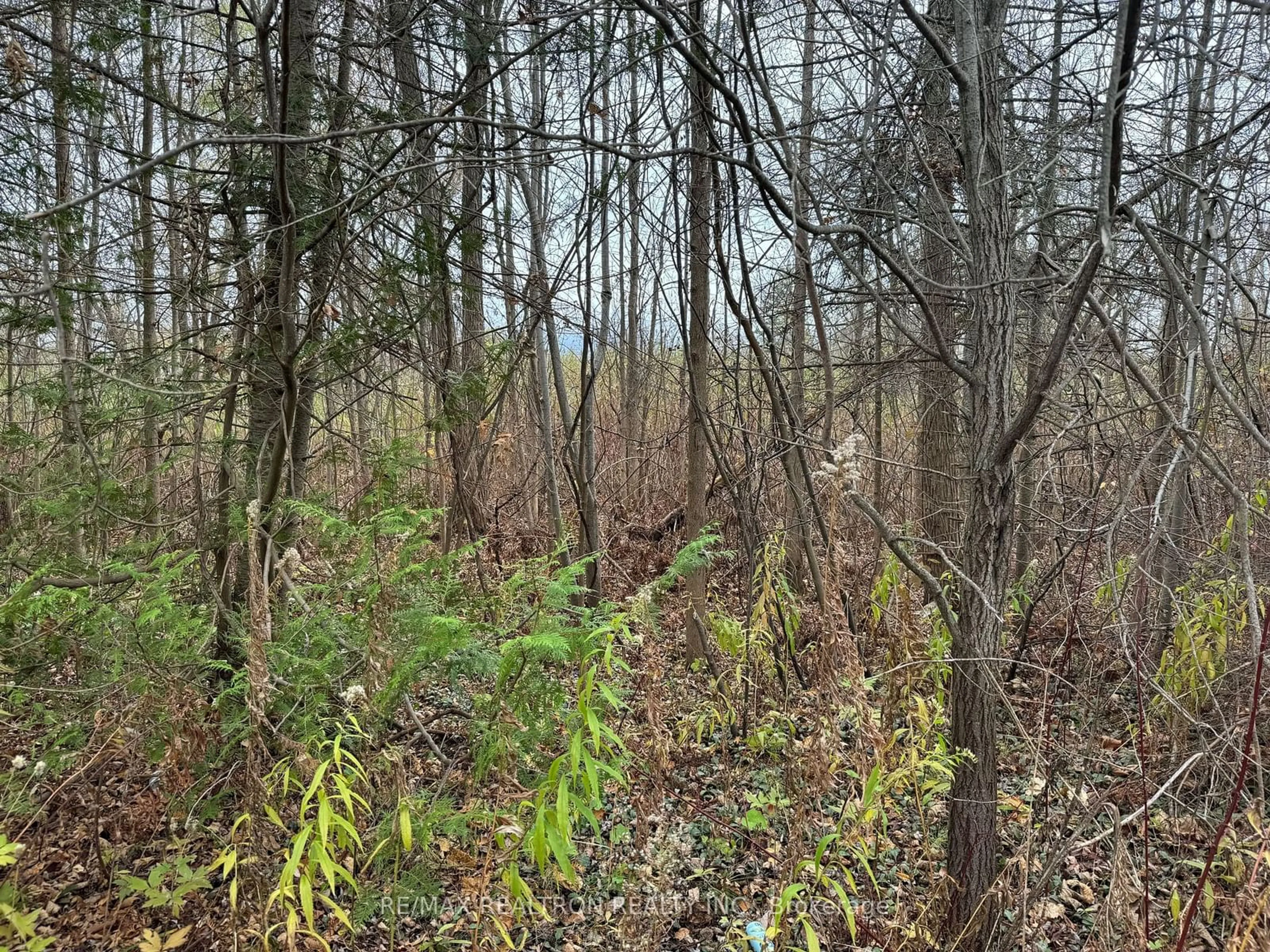 A pic of a room, unknown floor for 0 Taylorwoods Blvd, Innisfil Ontario L9S 2E9