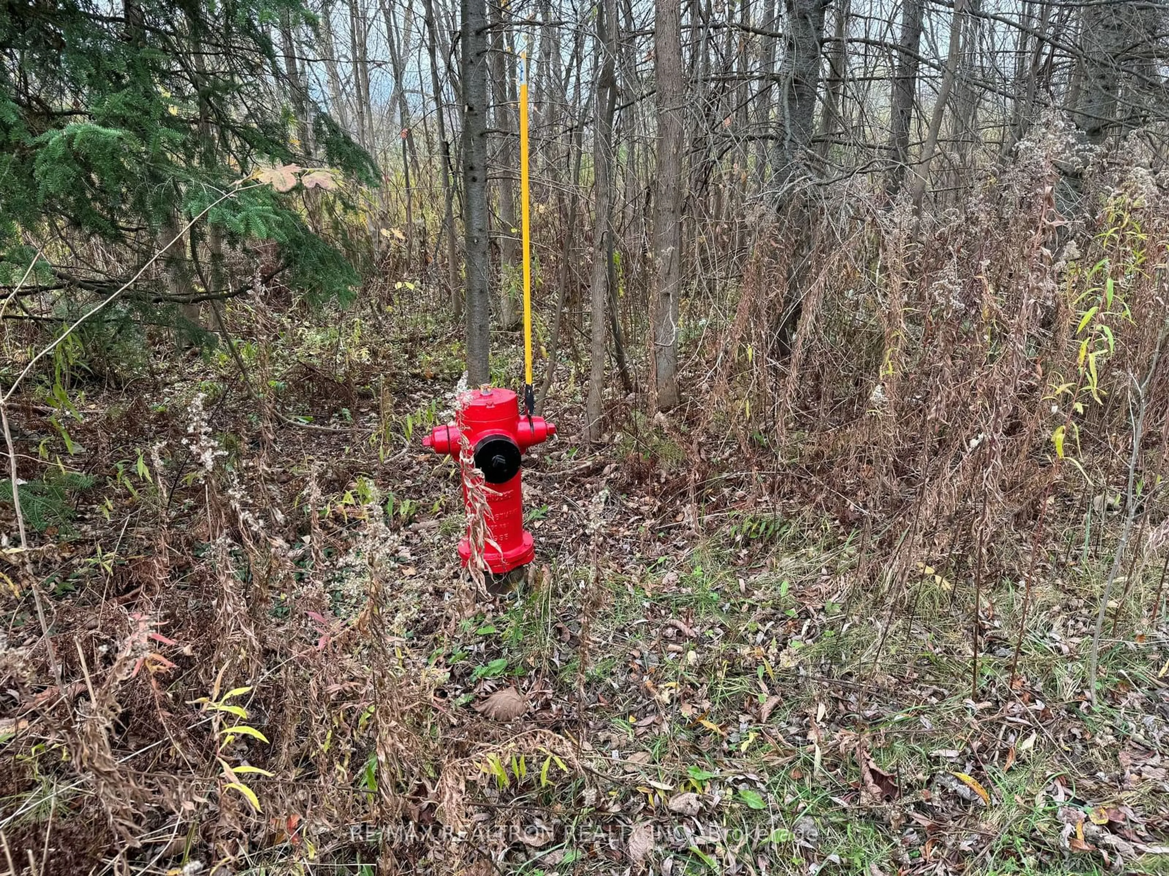 Shed for 0 Taylorwoods Blvd, Innisfil Ontario L9S 2E9