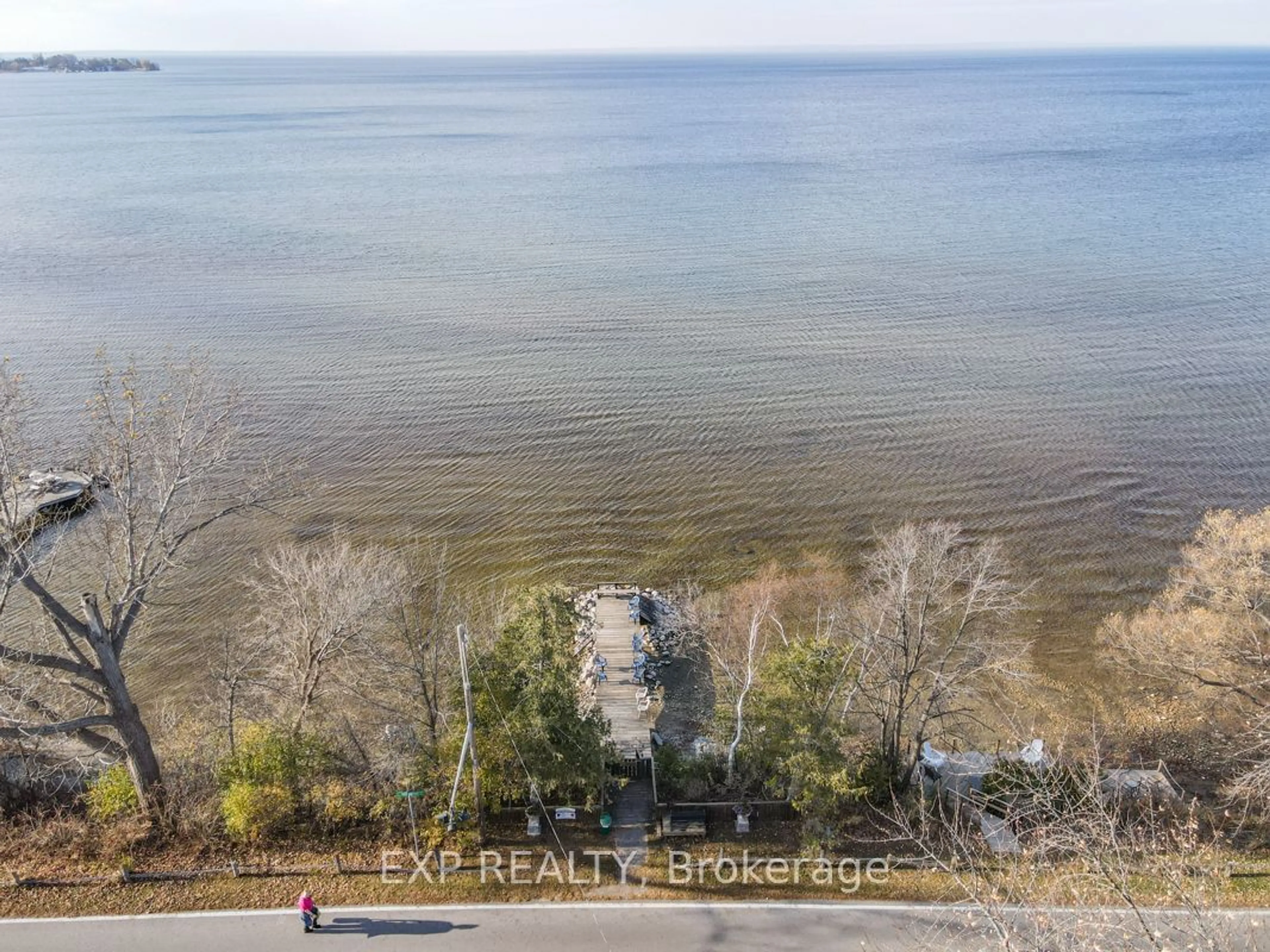 A pic from outside/outdoor area/front of a property/back of a property/a pic from drone, water/lake/river/ocean view for 67 Maple Ave, Georgina Ontario L0E 1R0