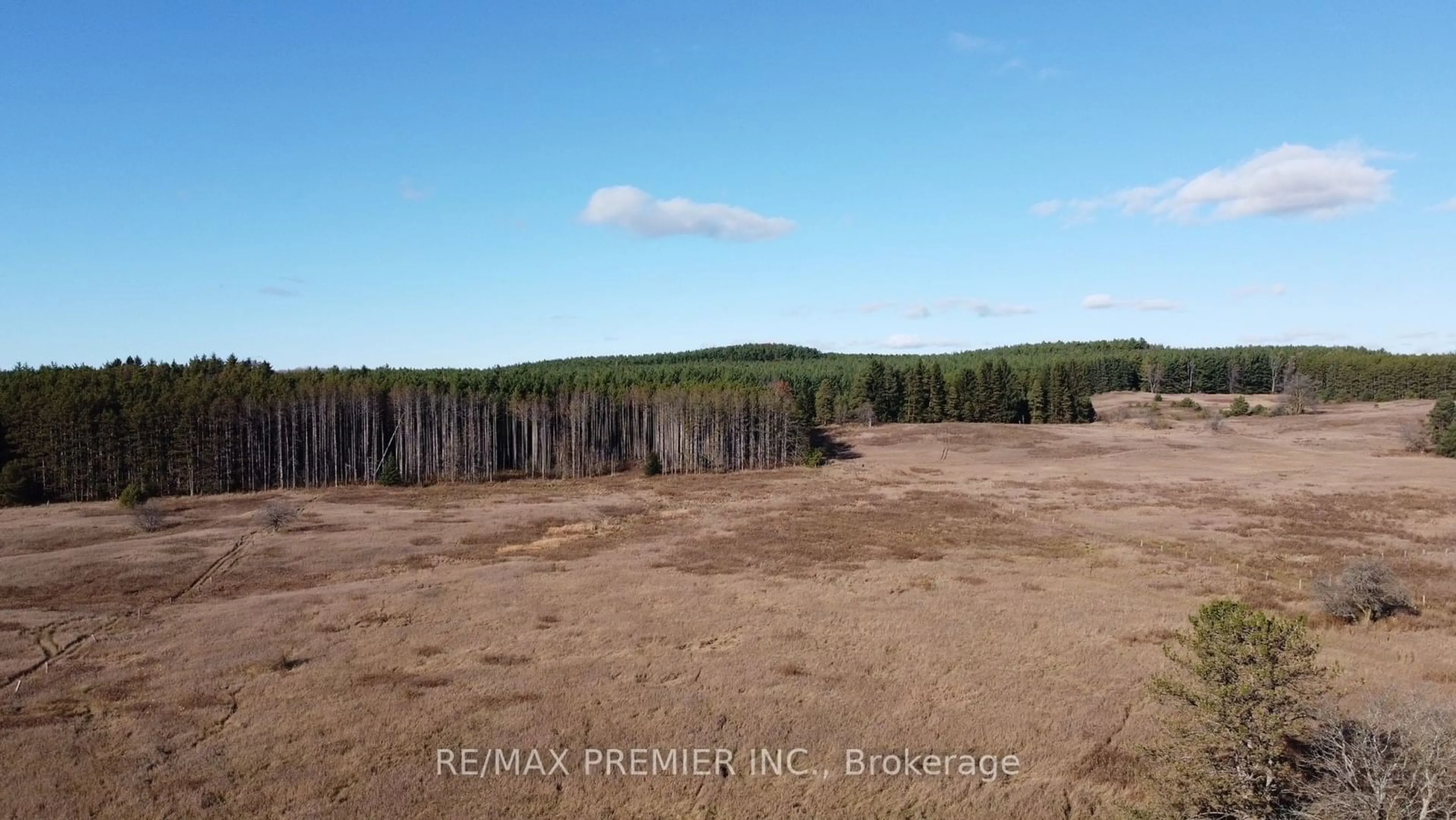 A pic from outside/outdoor area/front of a property/back of a property/a pic from drone, forest/trees view for 9792 Highway 9, Adjala-Tosorontio Ontario L7E 0G3