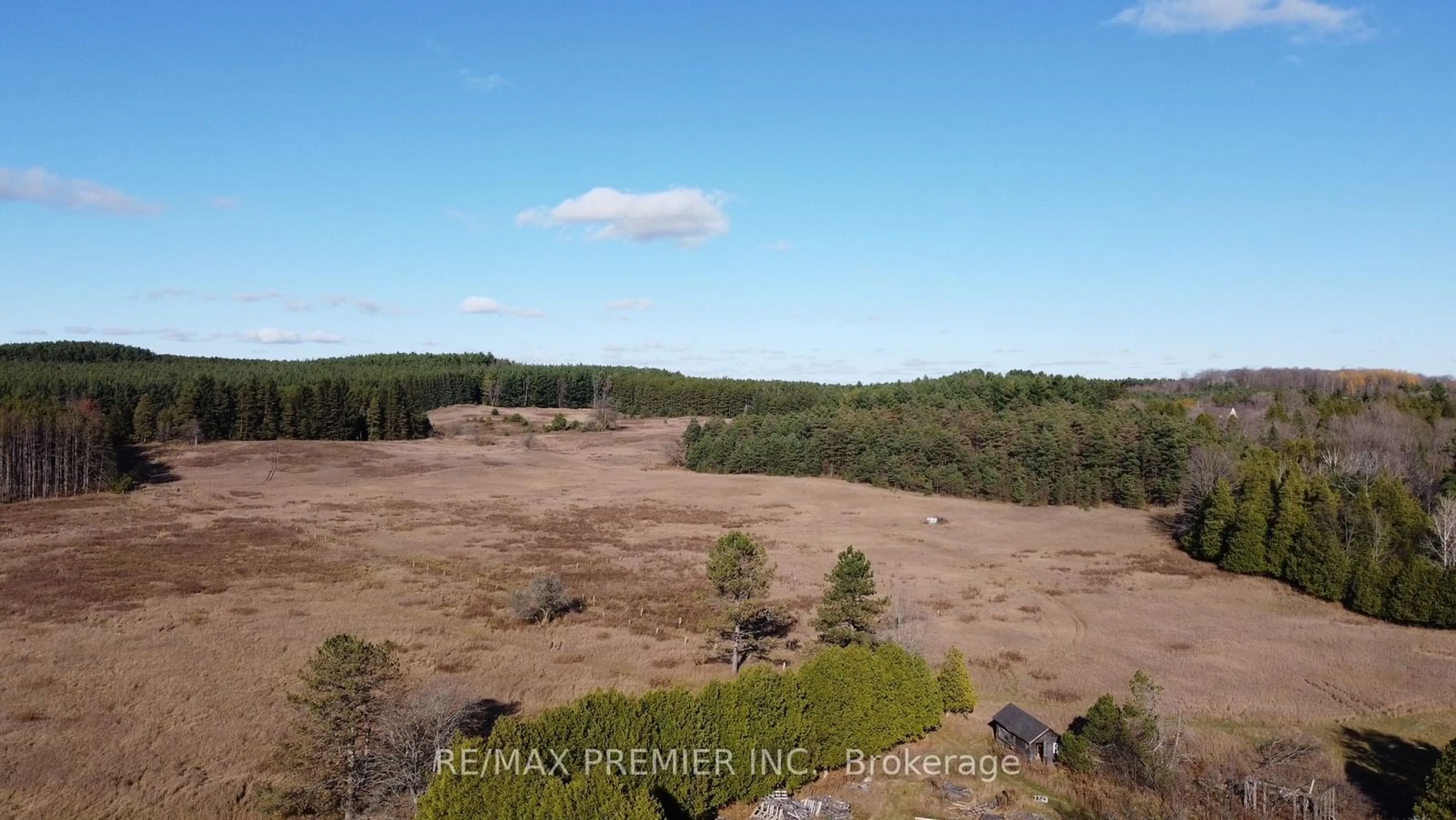 A pic from outside/outdoor area/front of a property/back of a property/a pic from drone, forest/trees view for 9792 Highway 9, Adjala-Tosorontio Ontario L7E 0G3