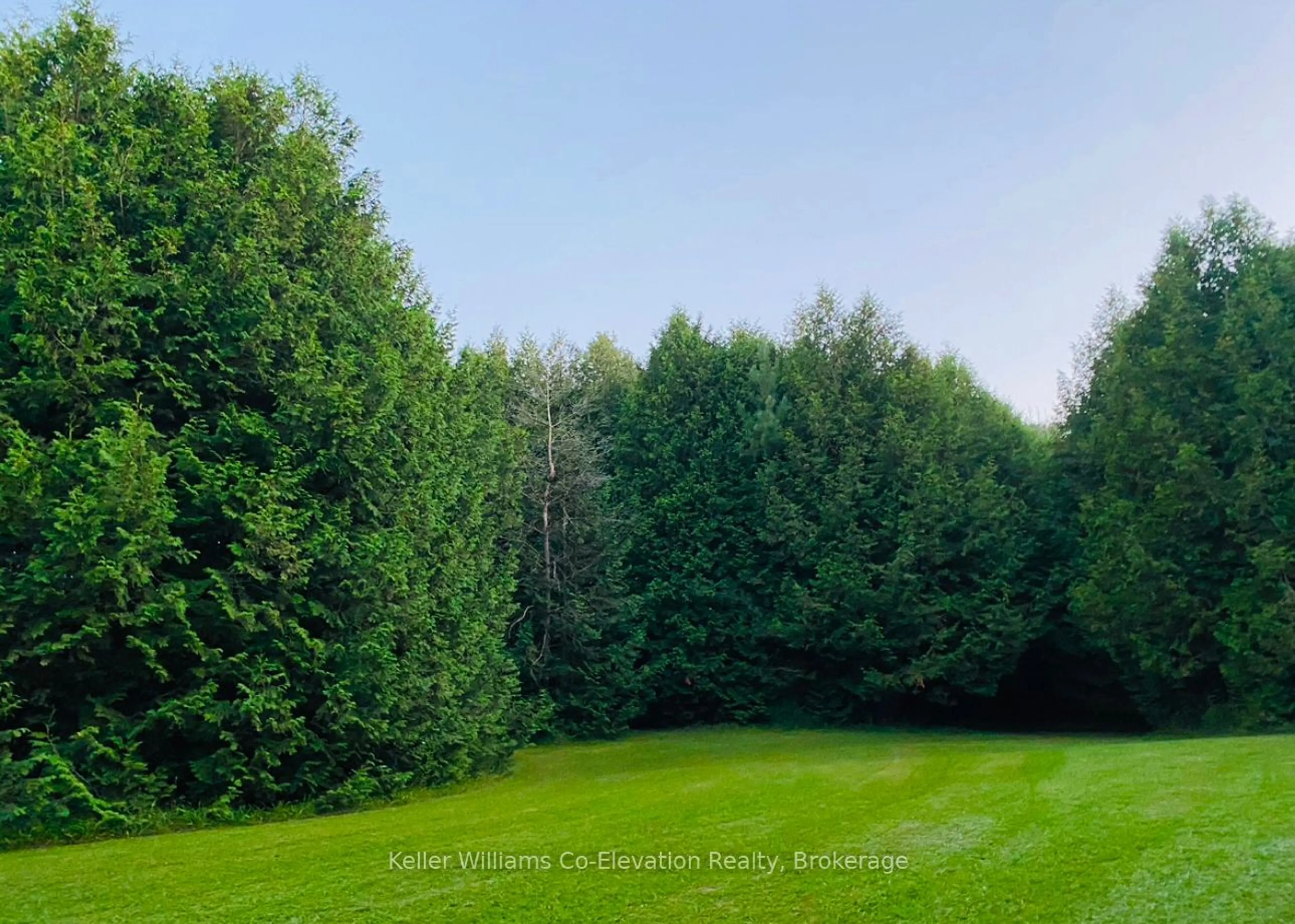 A pic from outside/outdoor area/front of a property/back of a property/a pic from drone, forest/trees view for 4684 10th Sdrd, Essa Ontario L0L 2N0