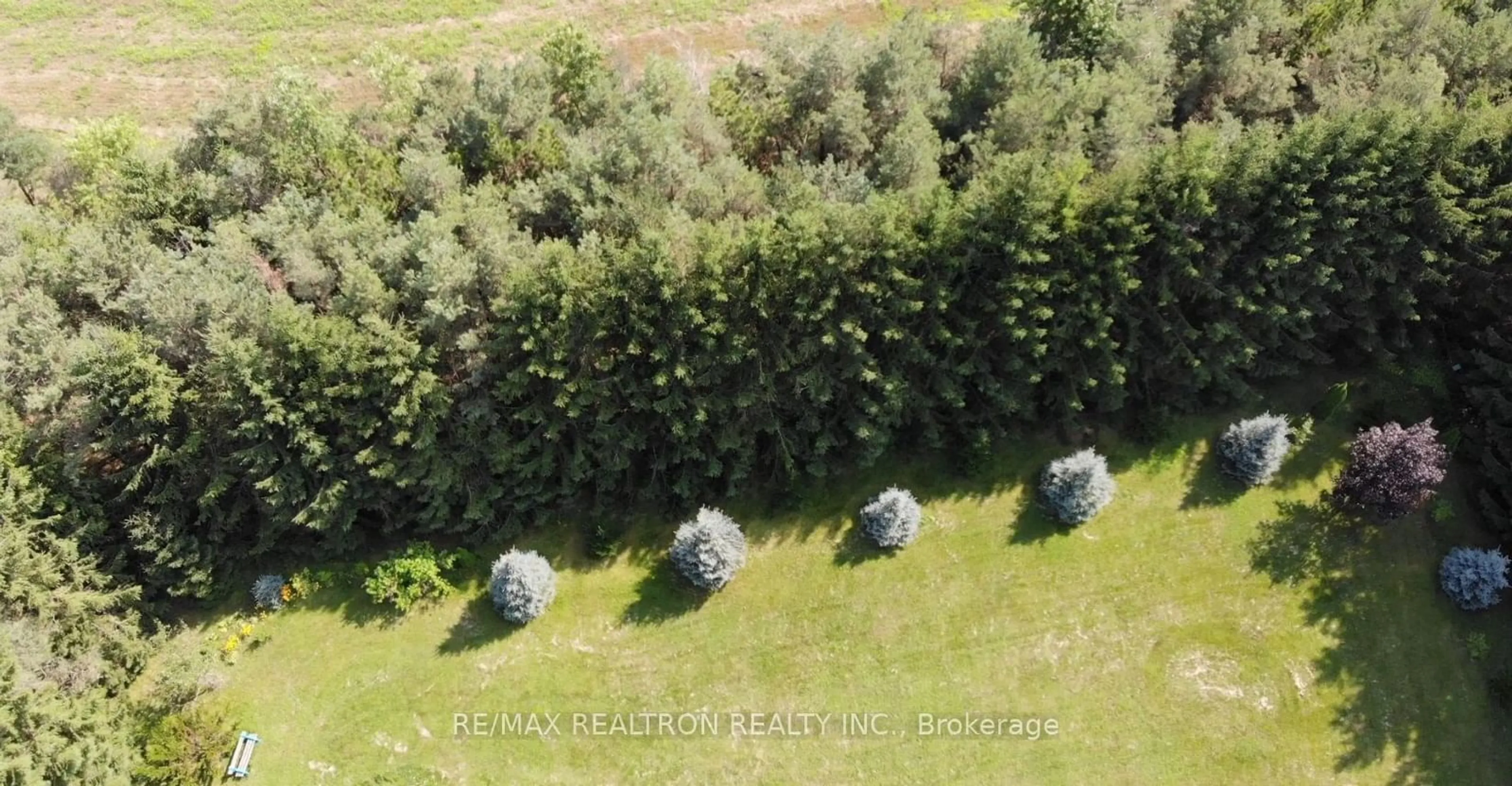 A pic from outside/outdoor area/front of a property/back of a property/a pic from drone, forest/trees view for 6019 6th Line, New Tecumseth Ontario L0G 1A0